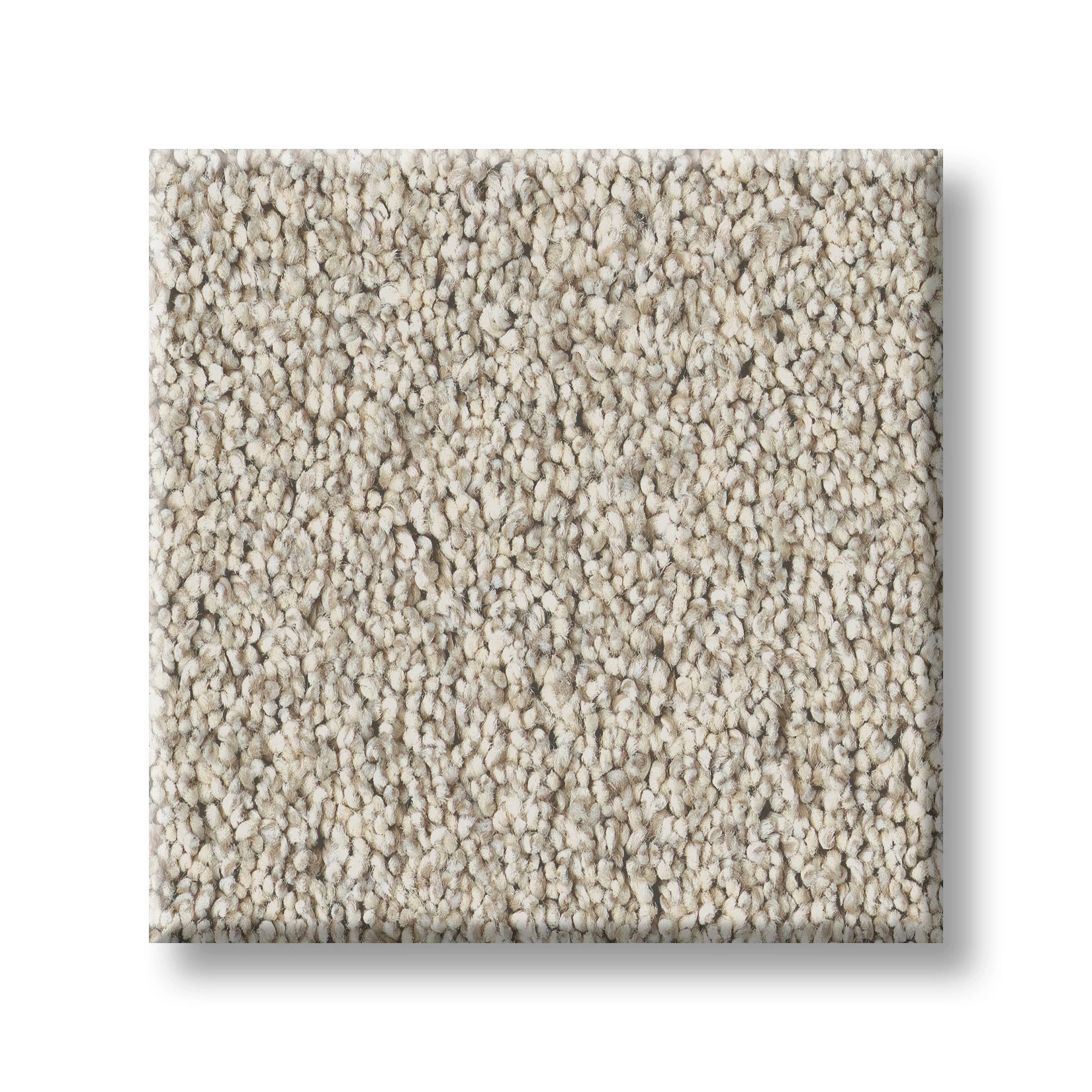 TIMELESS TONE BAJA SWATCH