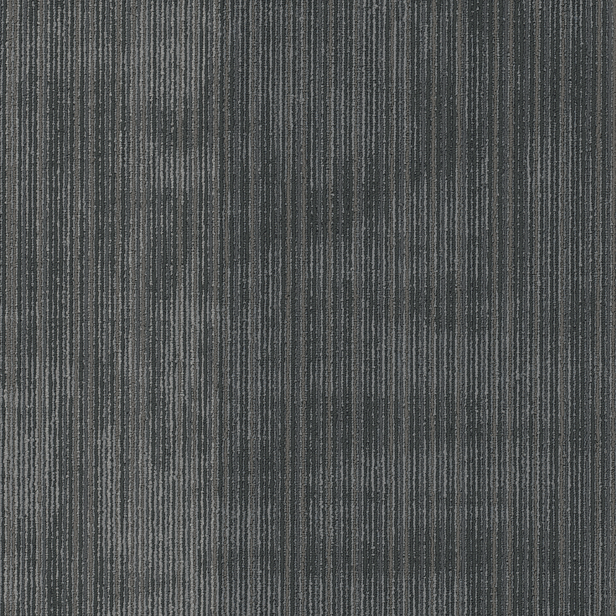 Beyond The Wall Collection