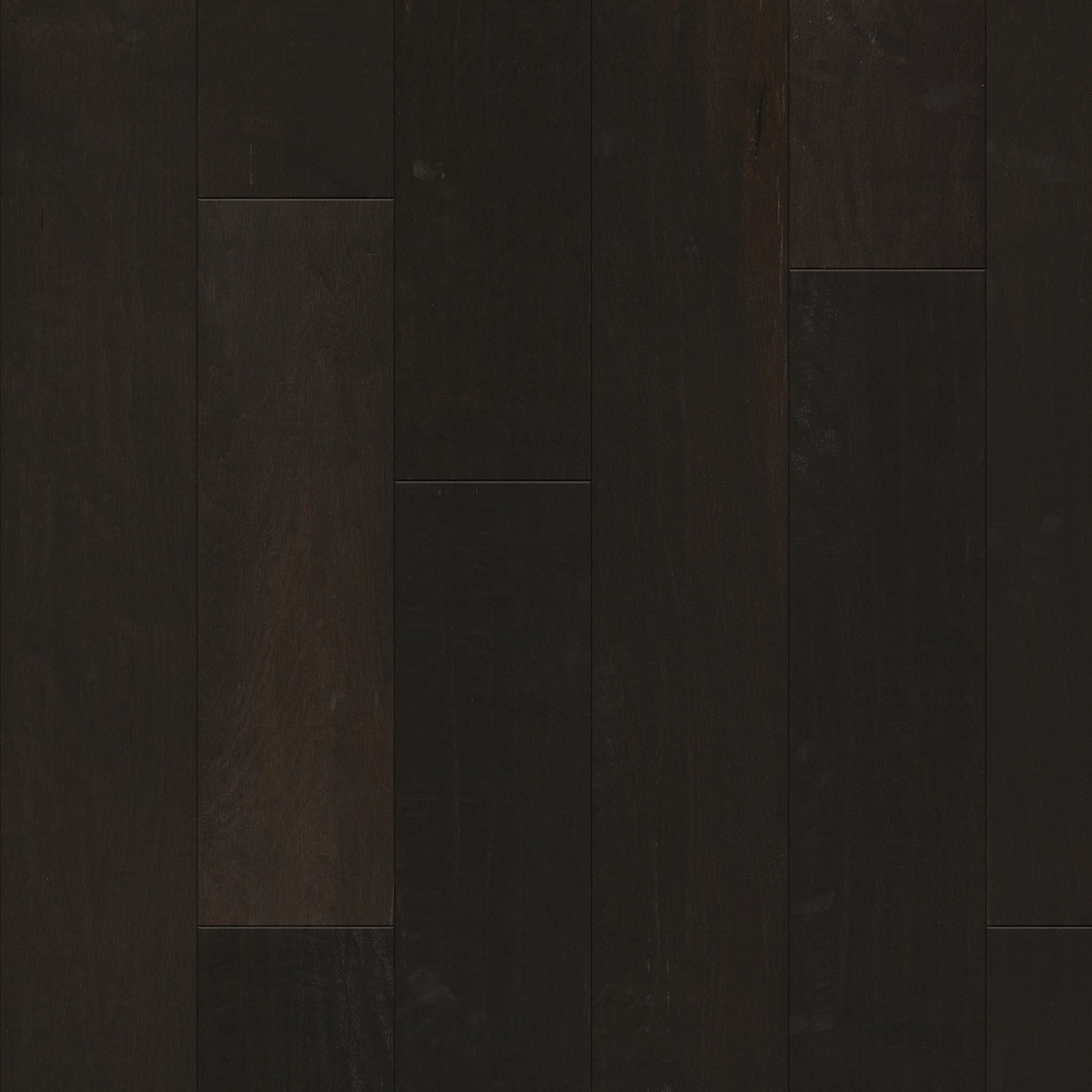 PACIFIC GROVE MIDNIGHT MAIN