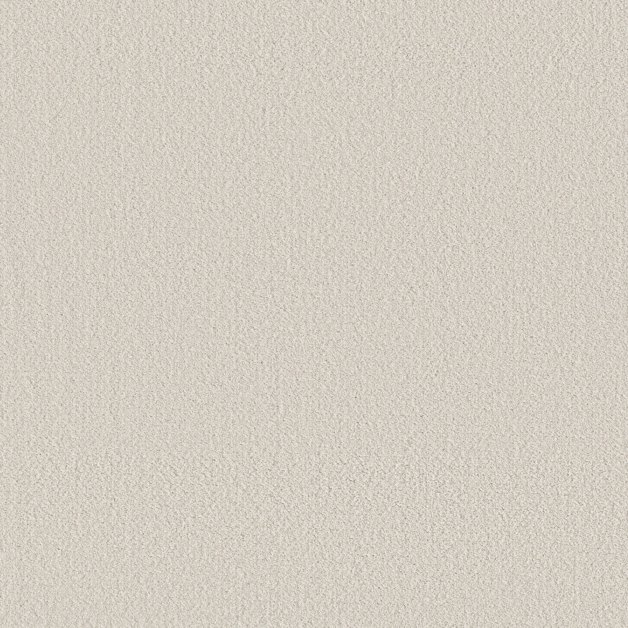 FINE TAPESTRY CHAMPAGNE TOAST MAIN