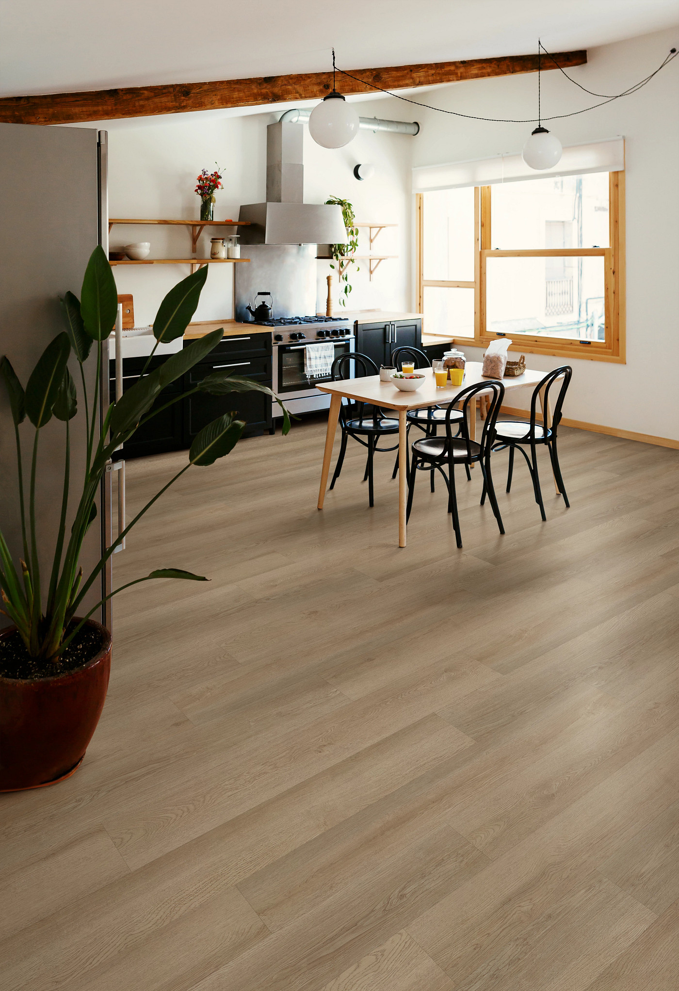 Ohlone Oak flooring, shown in a room
