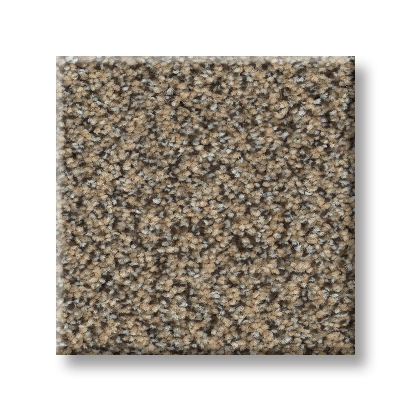 GAME CHANGING I SANDSTONE SWATCH