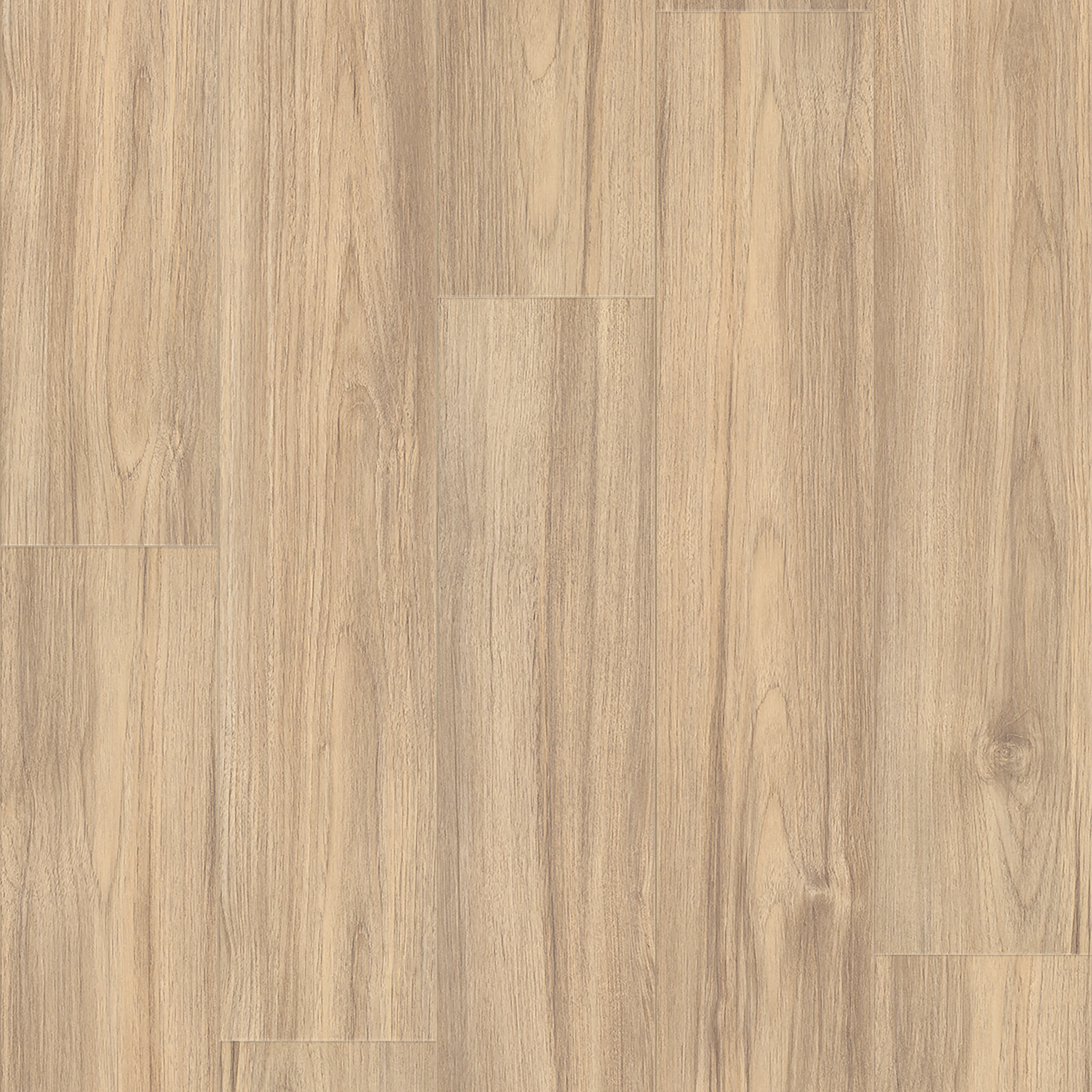 MAUNA NU'UANU WALNUT MAIN