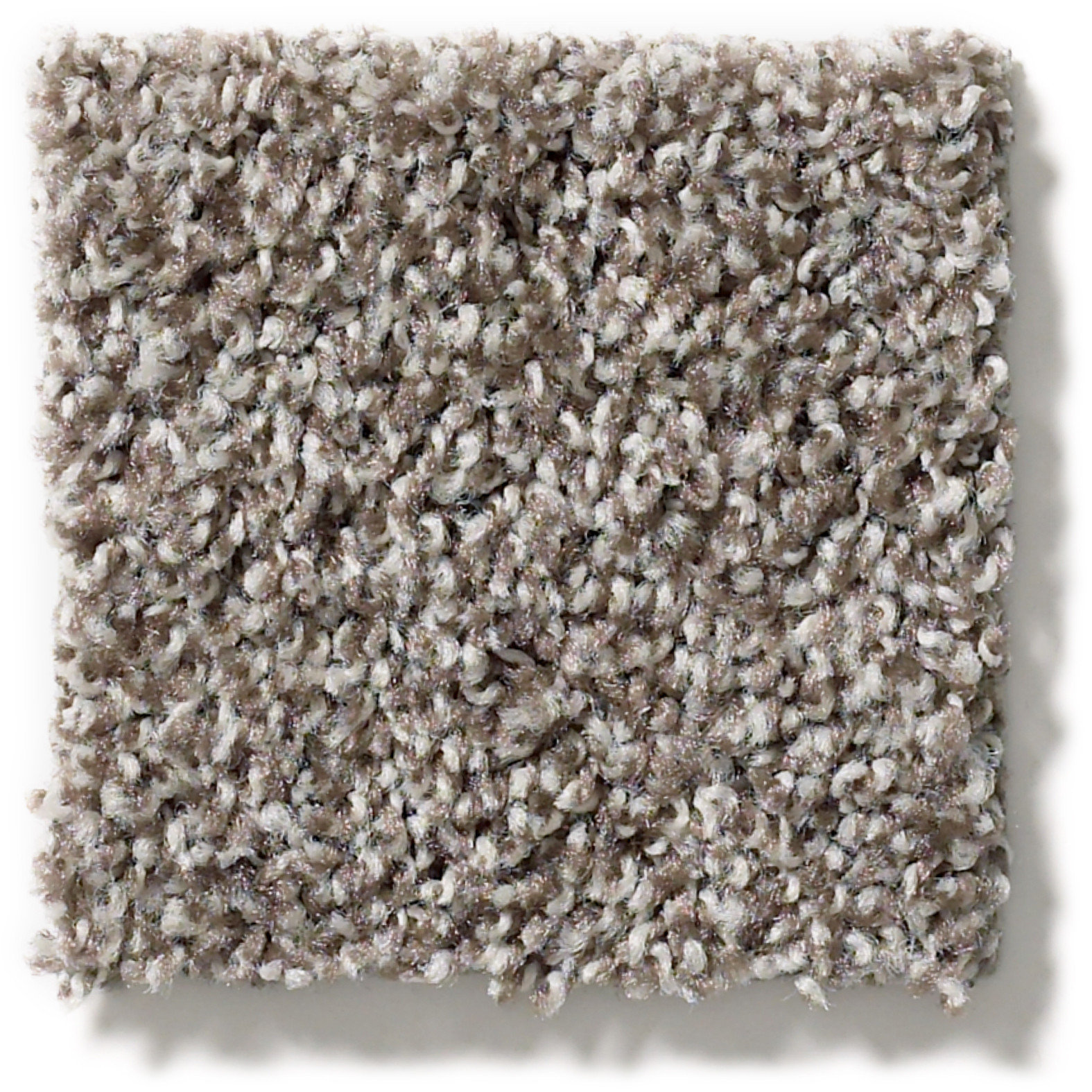 POISED CHIC TAUPE SWATCH