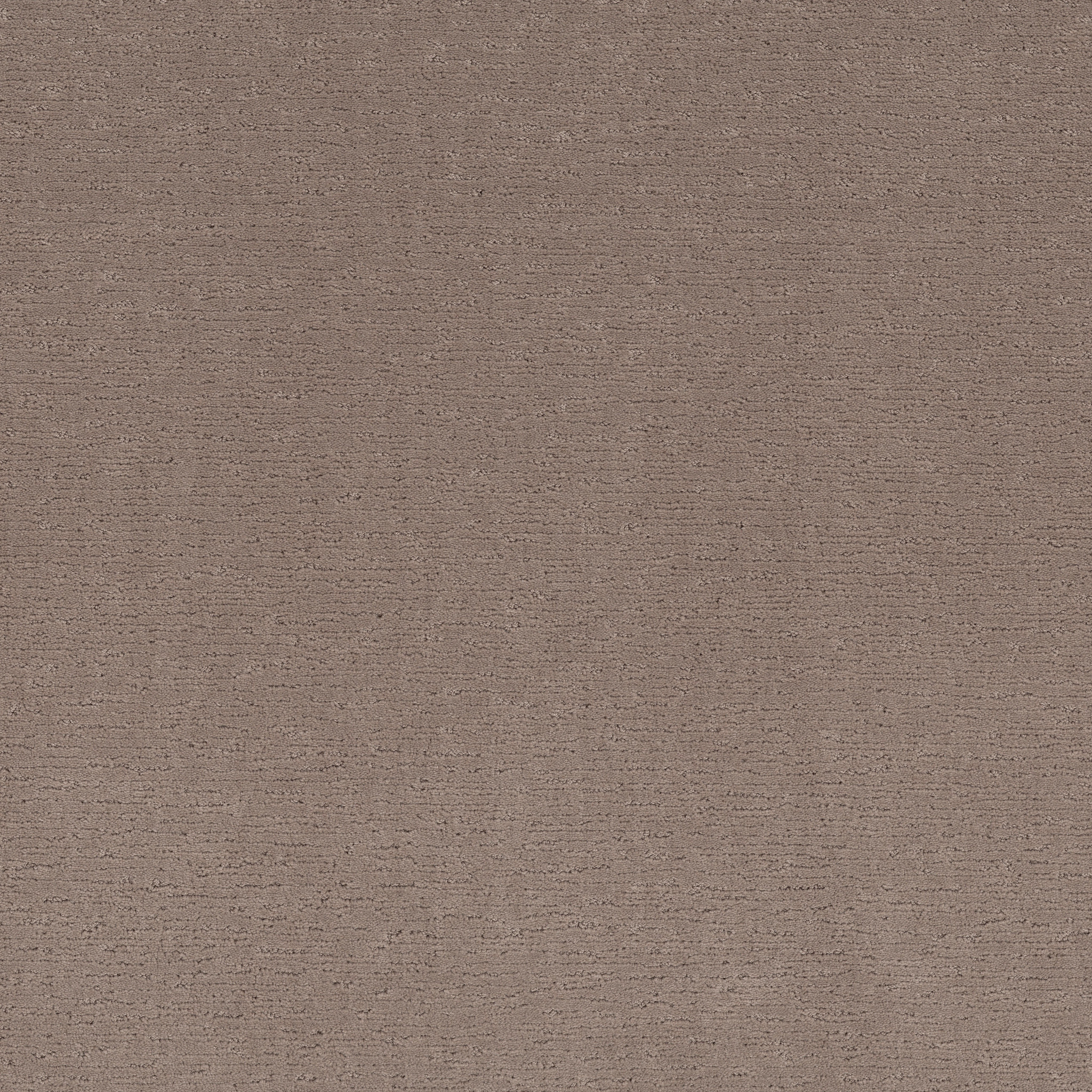 SKETCH SOCIALITE MAIN