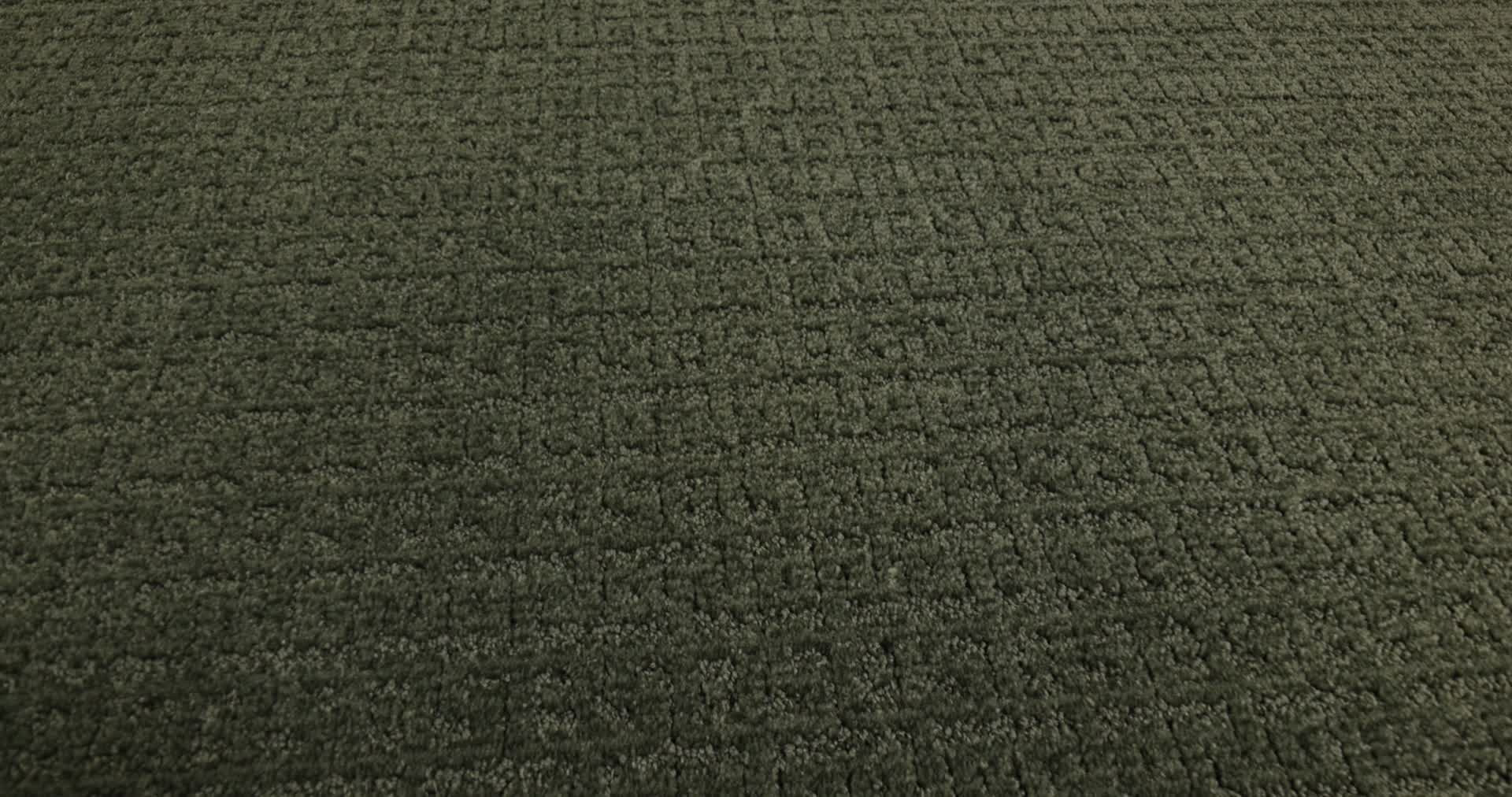 VIGNETTE OLIVE TREE 360PROD