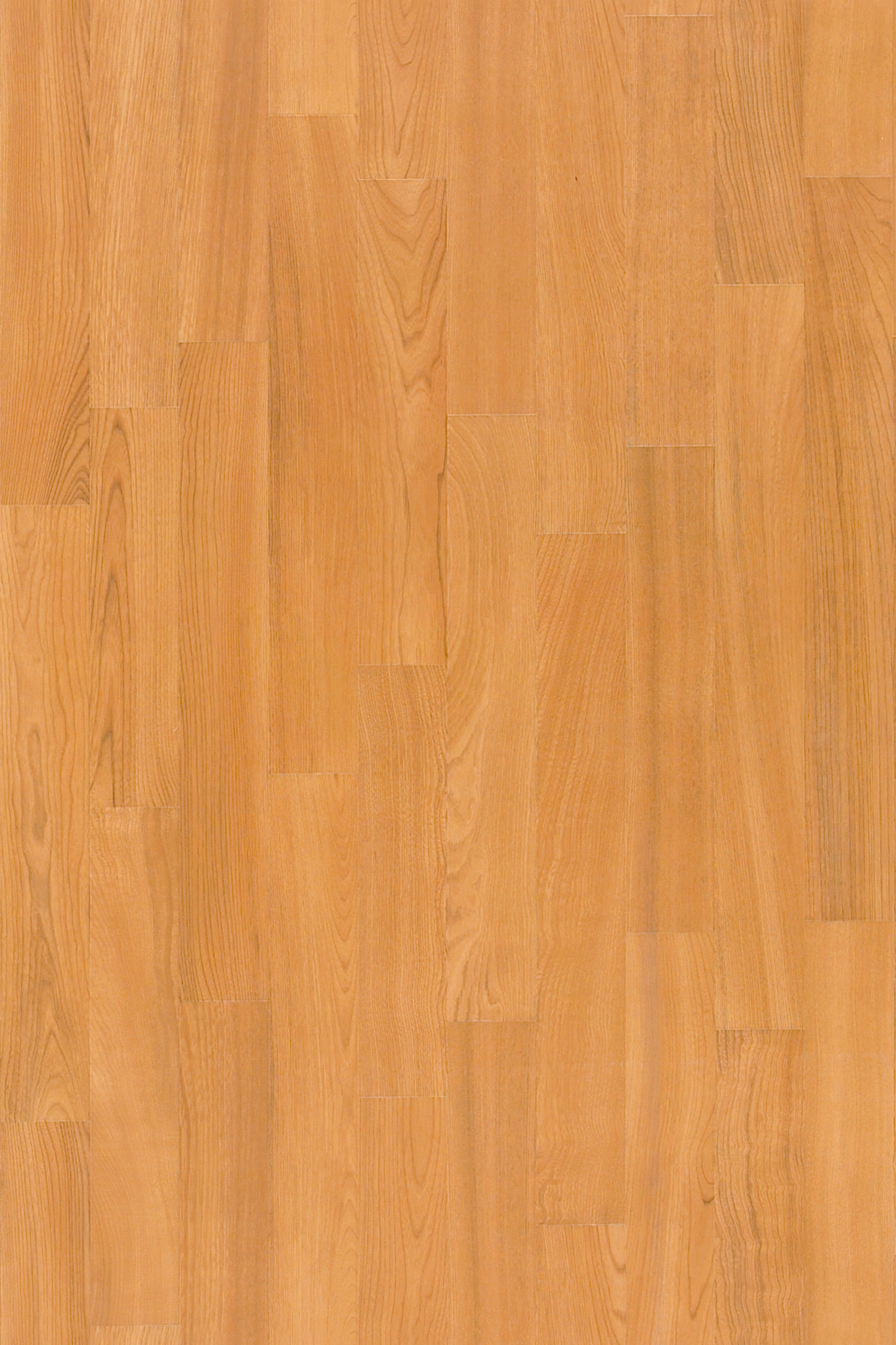 ORGANIC-STRUCTURE-5471V-PUMPKIN-07720-main-image