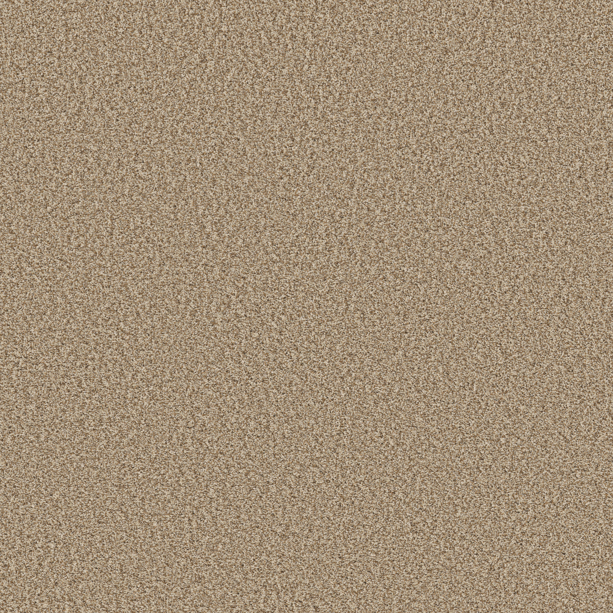 PRESCOTT VALLEY POTTER'S CLAY MAIN