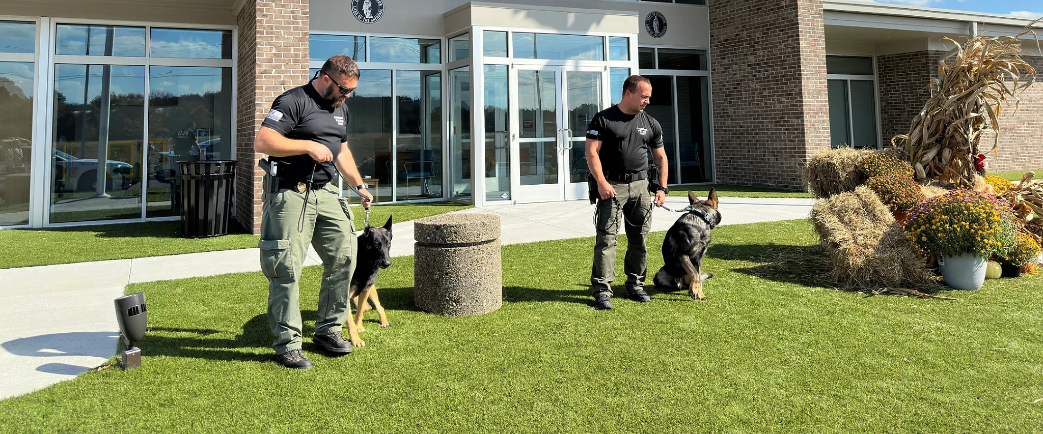 Outdoor scene with two men and dogs on artificial grass
