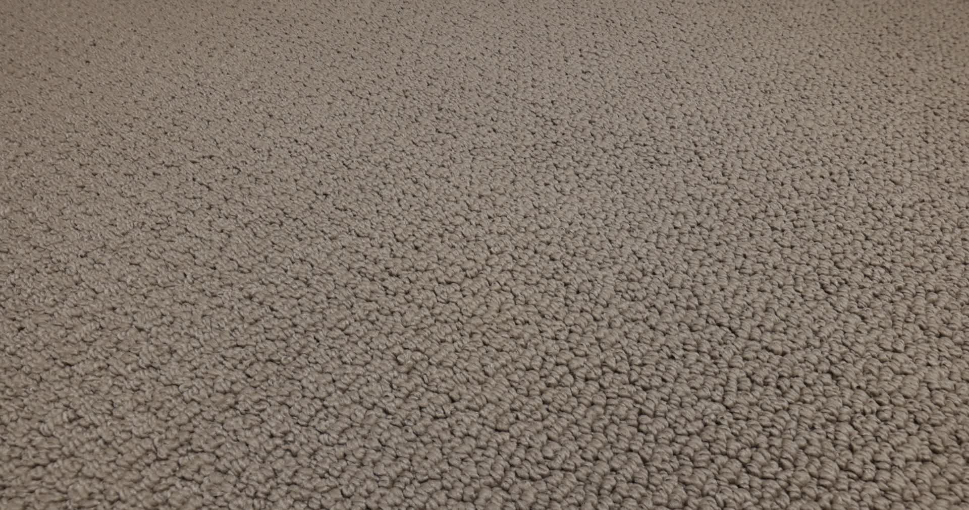 CHANNELING BIRD HOUSE 360PROD