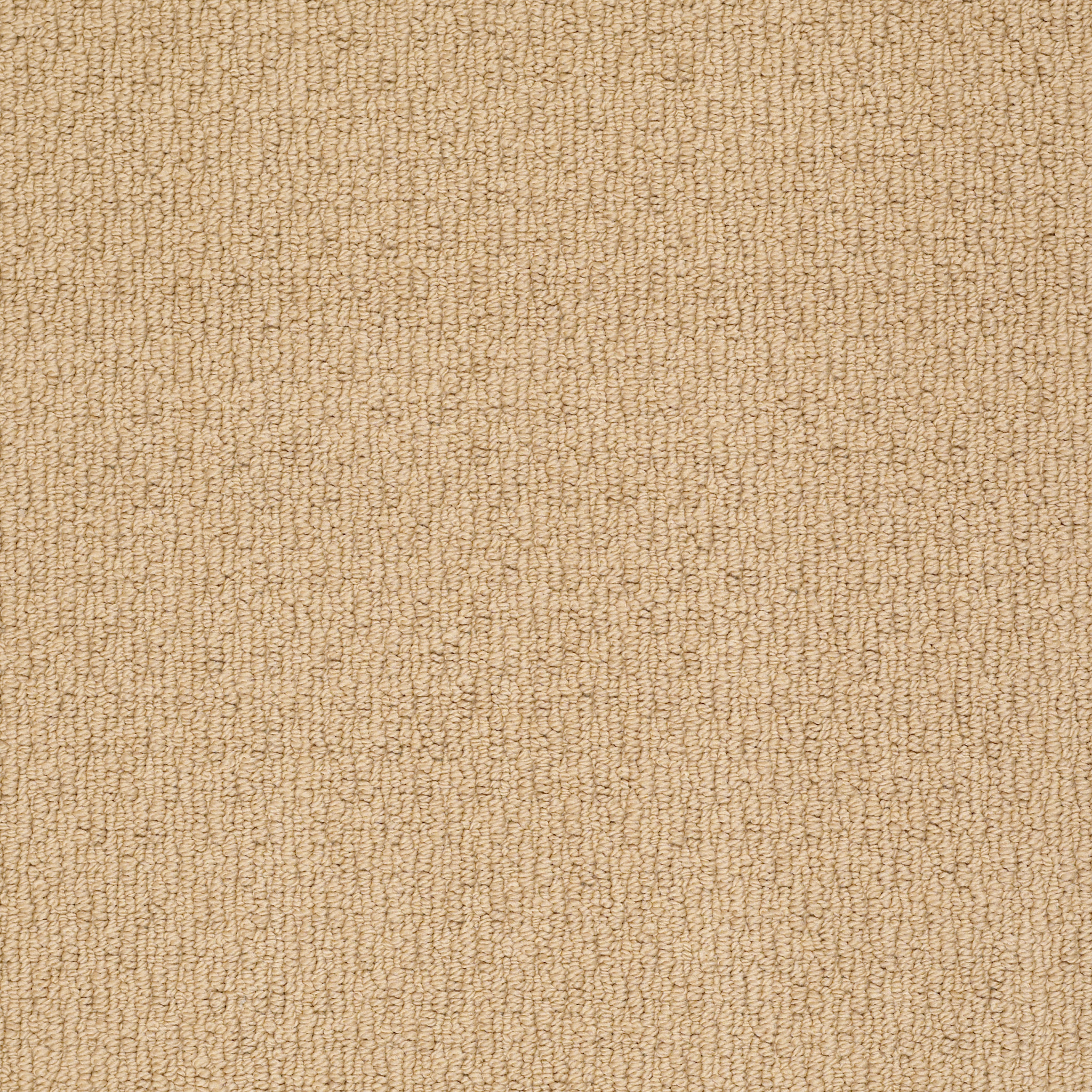 APPIAN WAY SPRING BUTTERCU MAIN