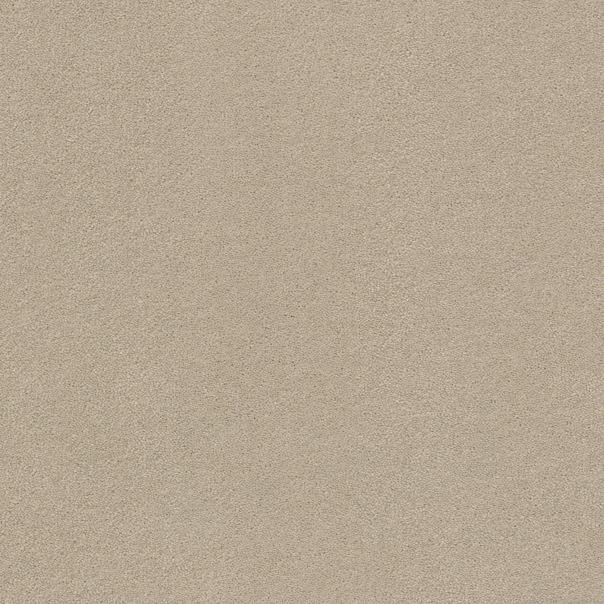 PERFECT CHOICE PASHMINA MAIN