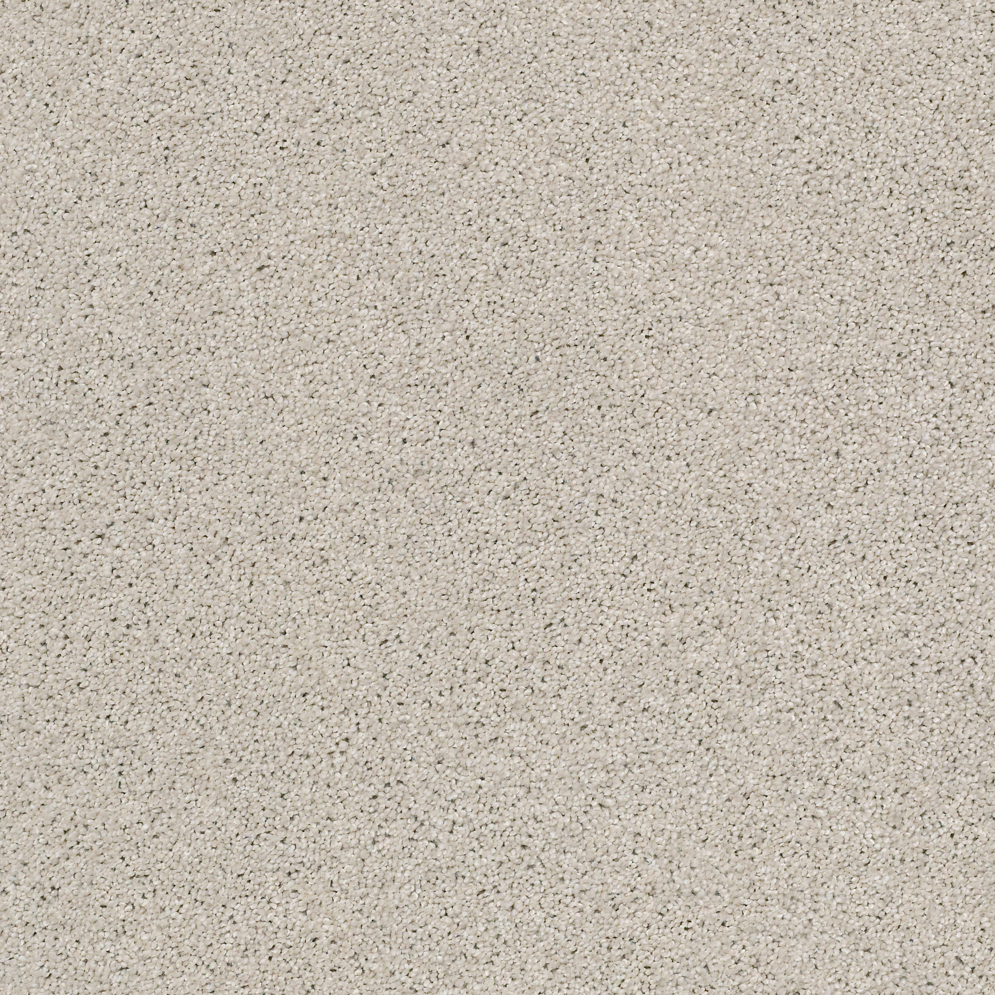 ALWAYS READY II ETCHED GLASS MAIN