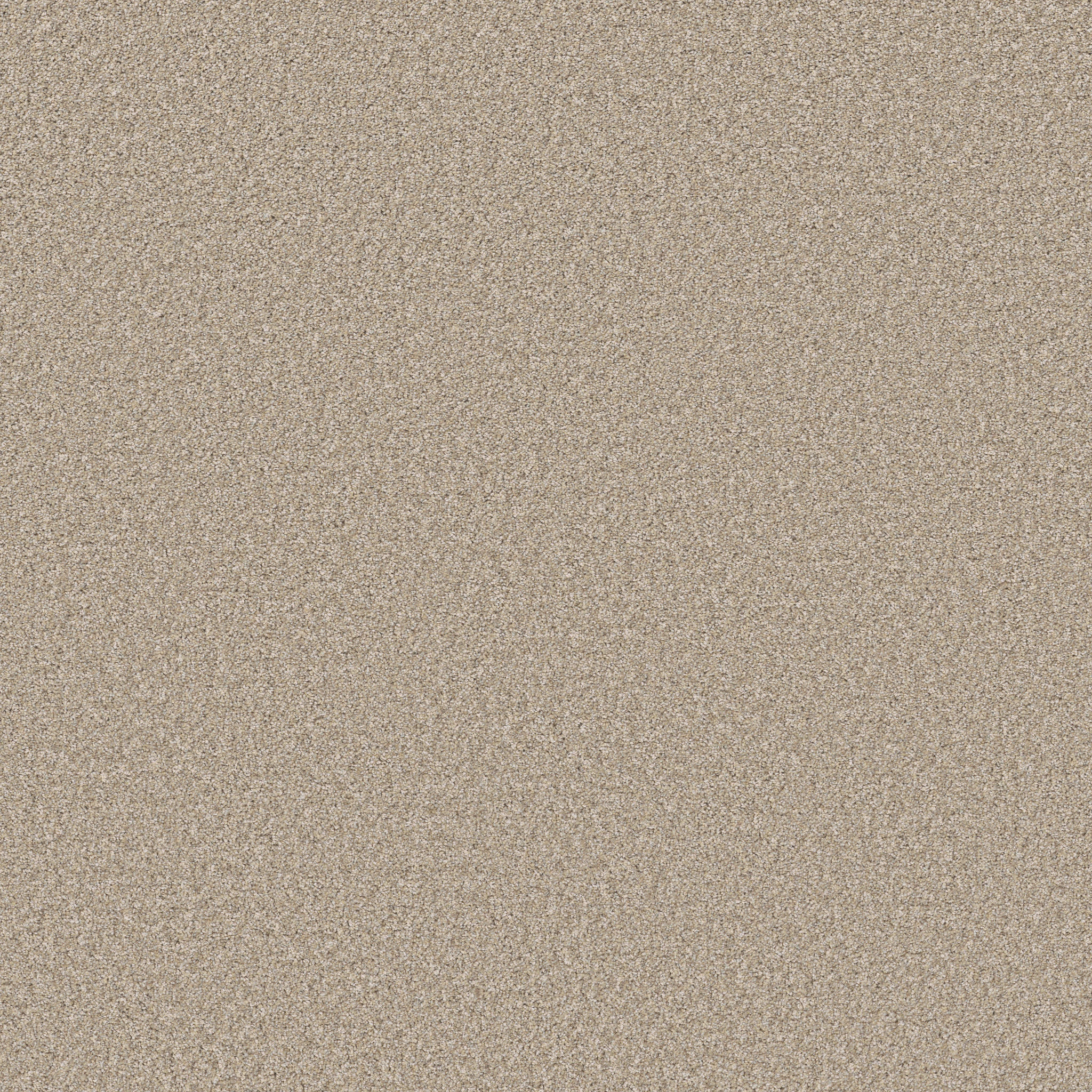 ELEVATED I WARM GLOW MAIN