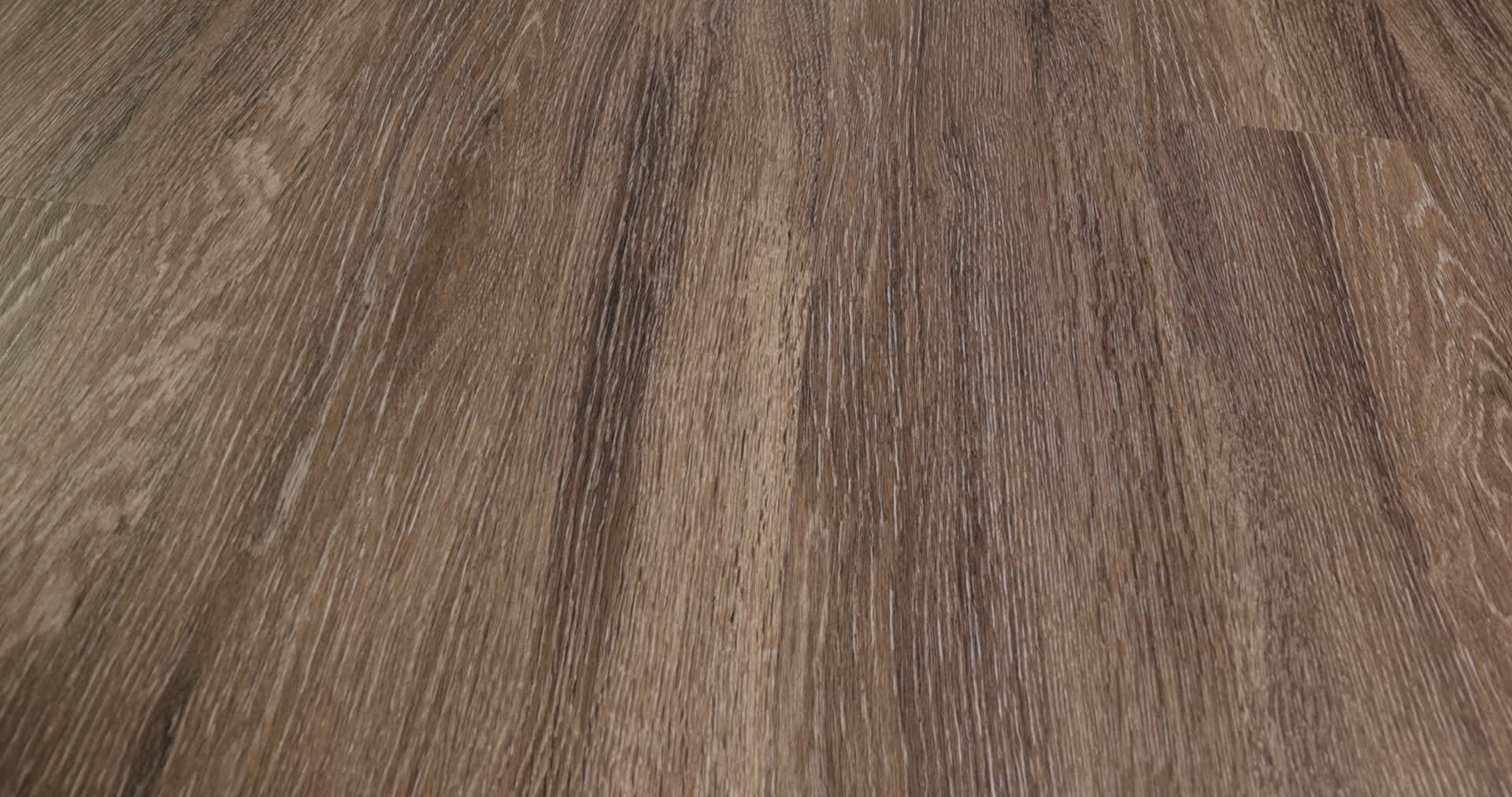 WORLD'S FAIR 6 II SEATTLE 360PROD