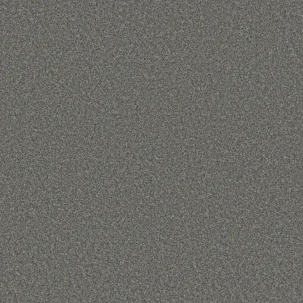 Durable Grey Carpet for Comfortable Home Living Textured grey carpet swatch showcasing durable and easy-to-maintain flooring for everyday comfort