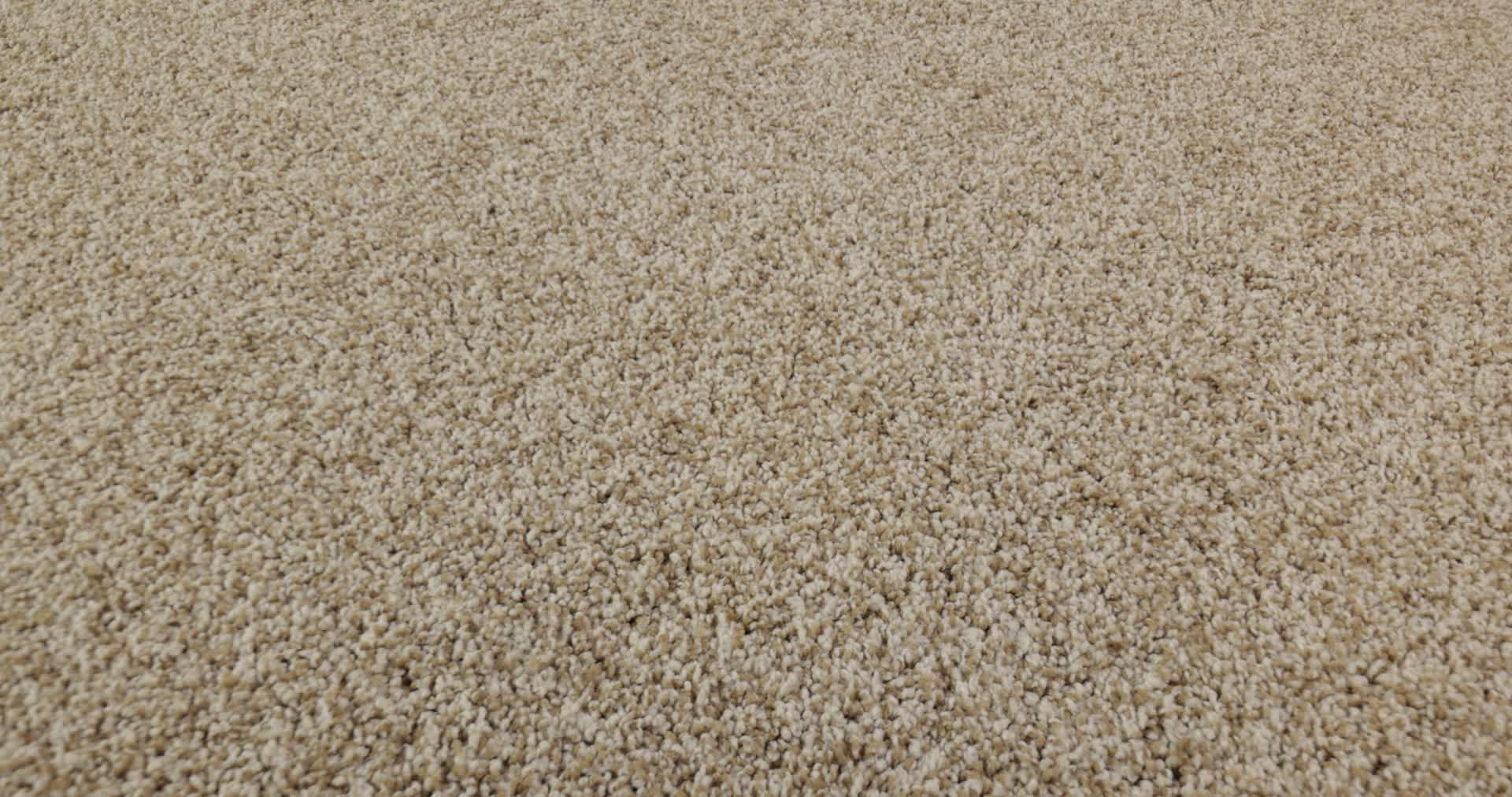 MIRA NOVA BEACH GRASS 360PROD