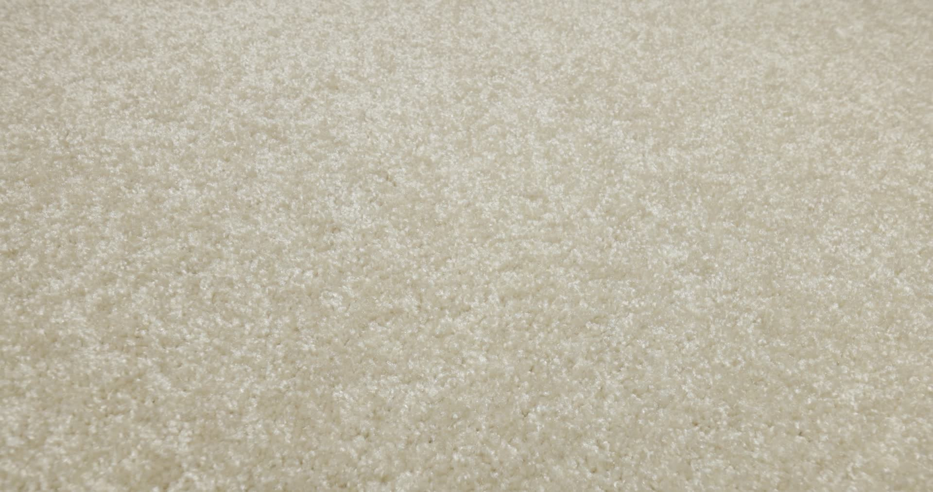 PARLAY IVORY 360PROD