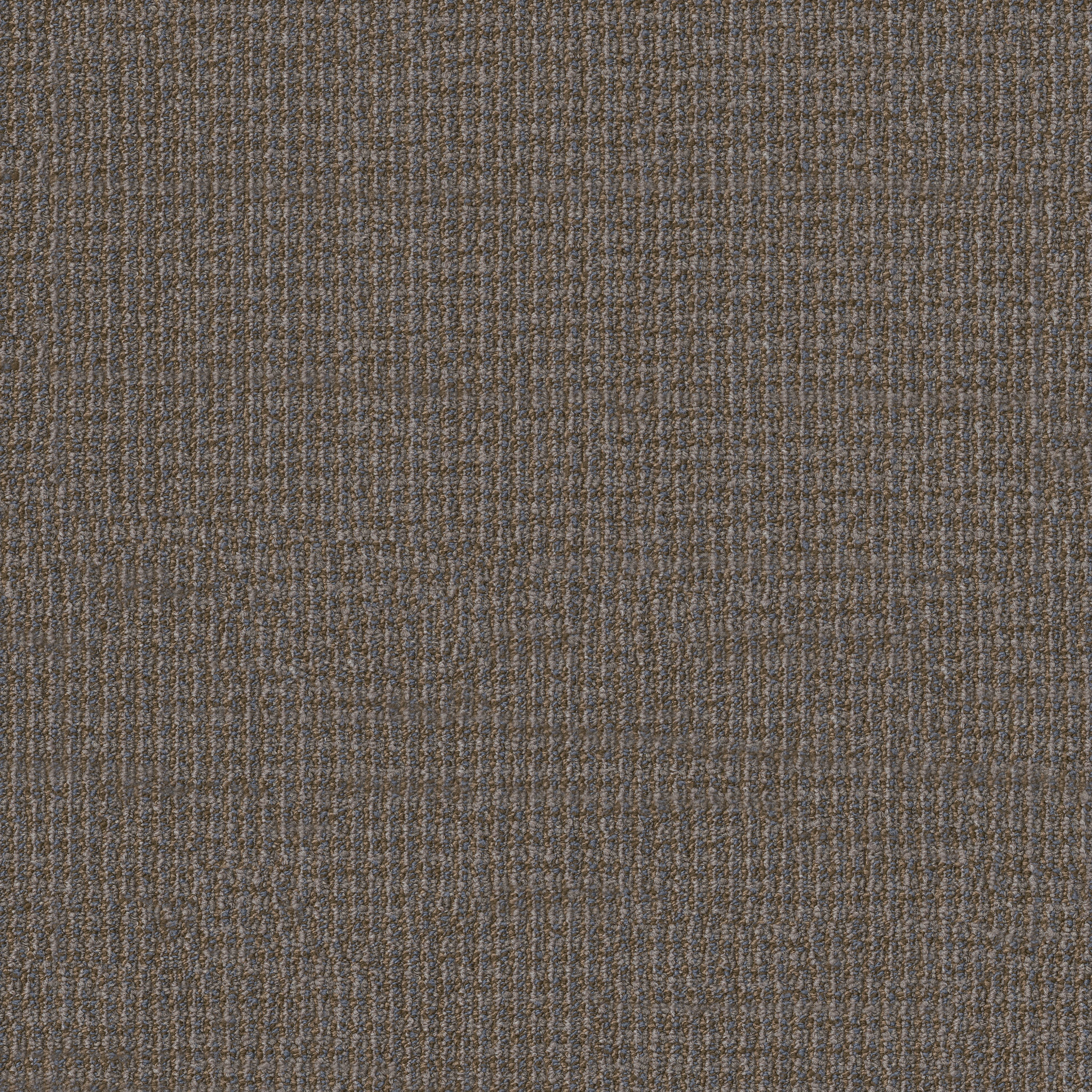 FREE-PRESS-54985-NEWS-00204-main-image