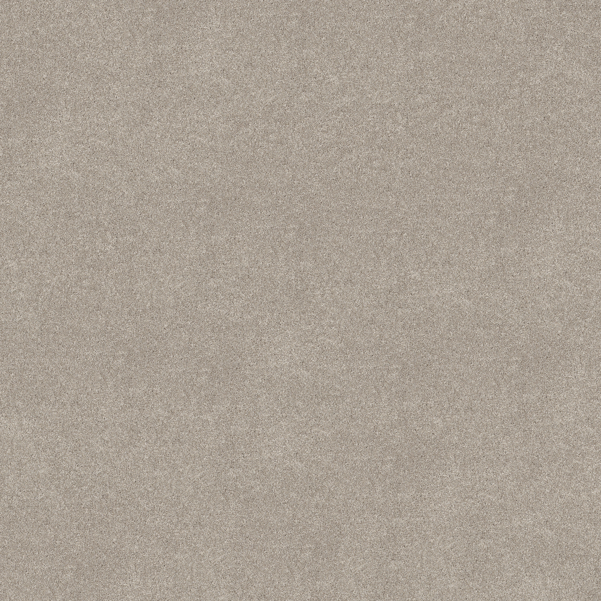 VIVID TOUCH II CHIC TAUPE MAIN