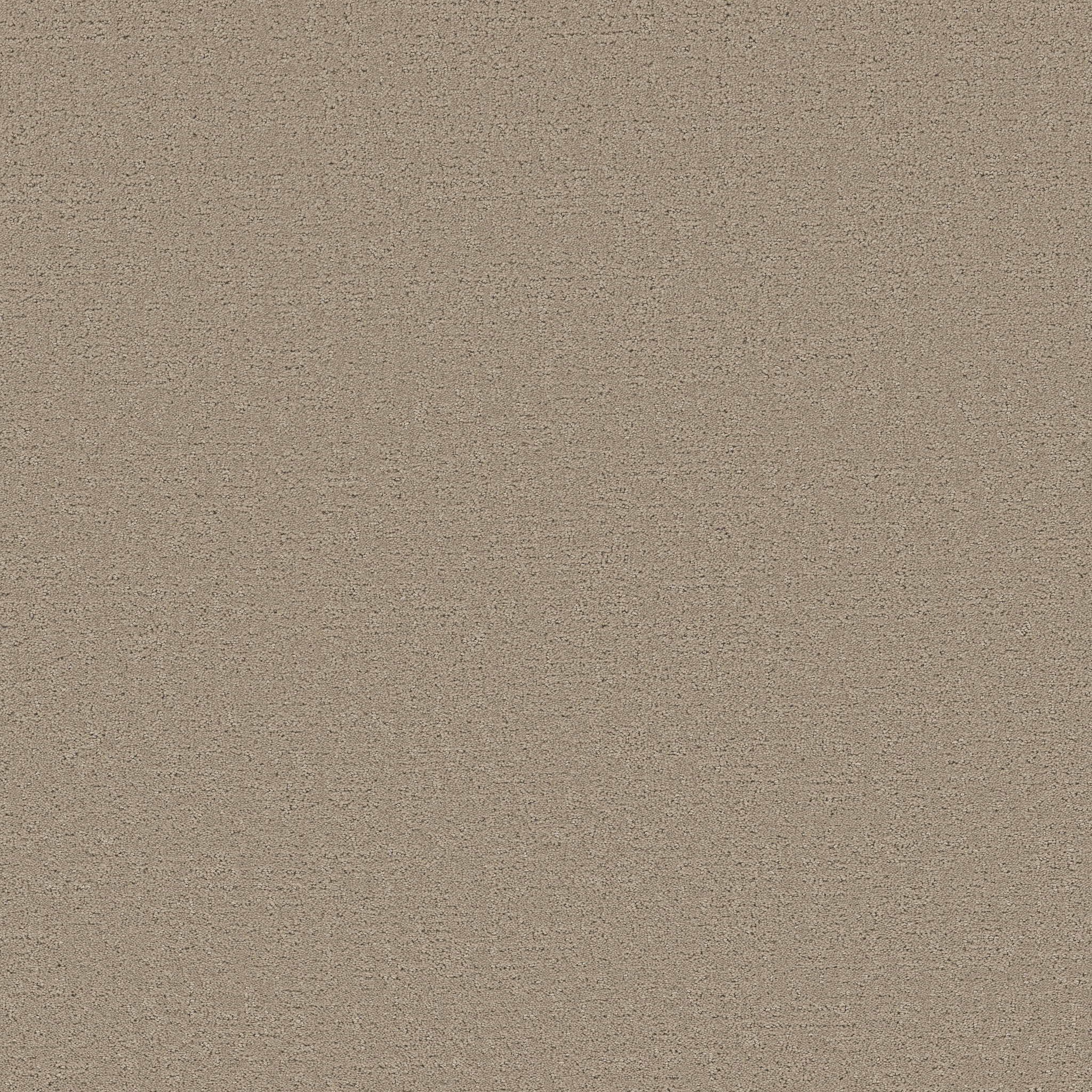 REFINED CANVAS DOCKSIDE VIEW MAIN