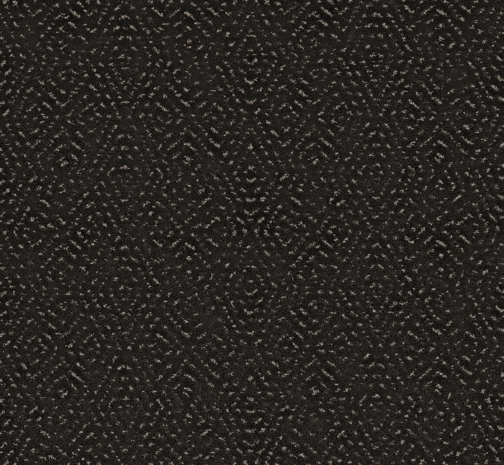 ELABORATE ARTIFACT CAFE NOIR MAIN