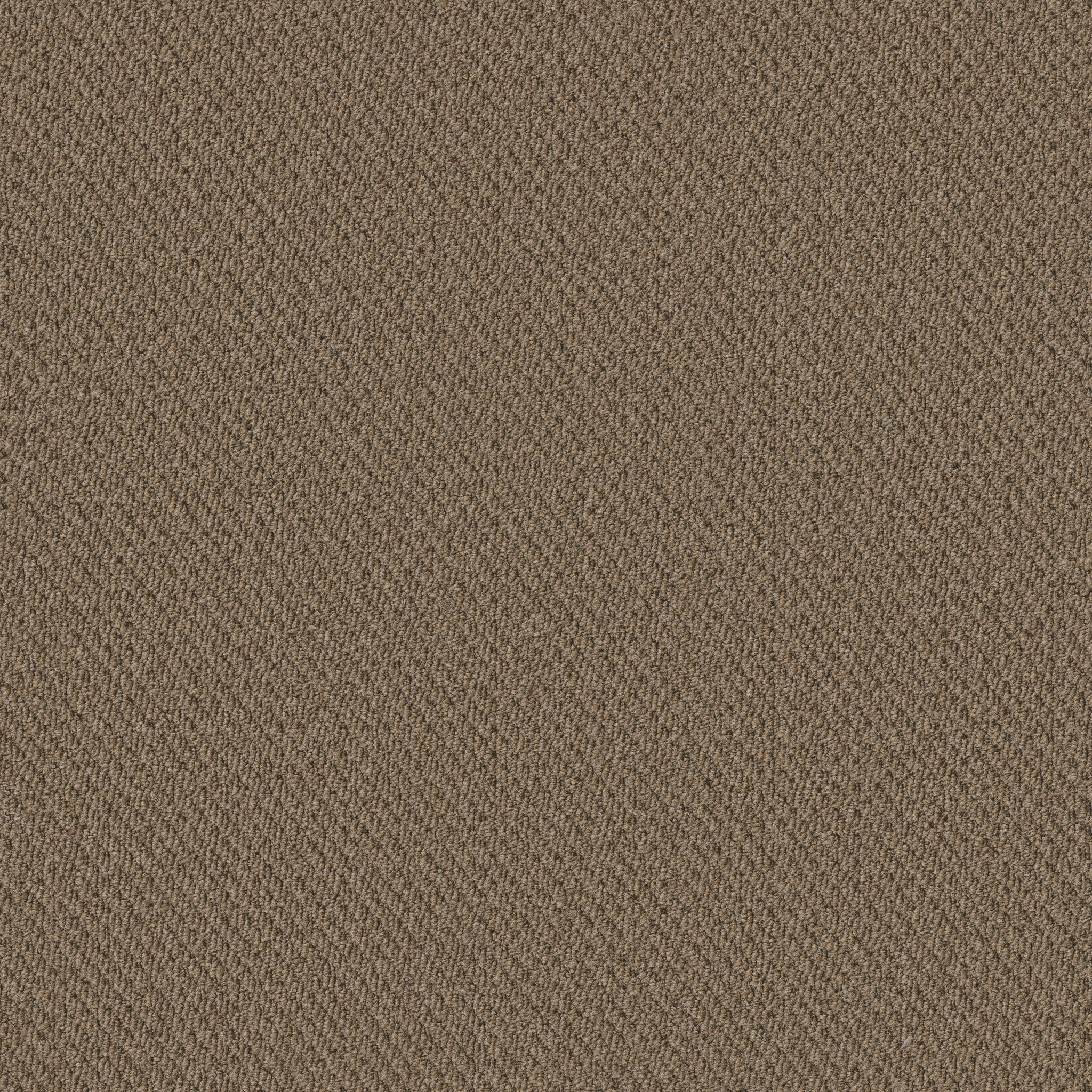 PROSPECT-54983-ANTICIPATE-83104-main-image