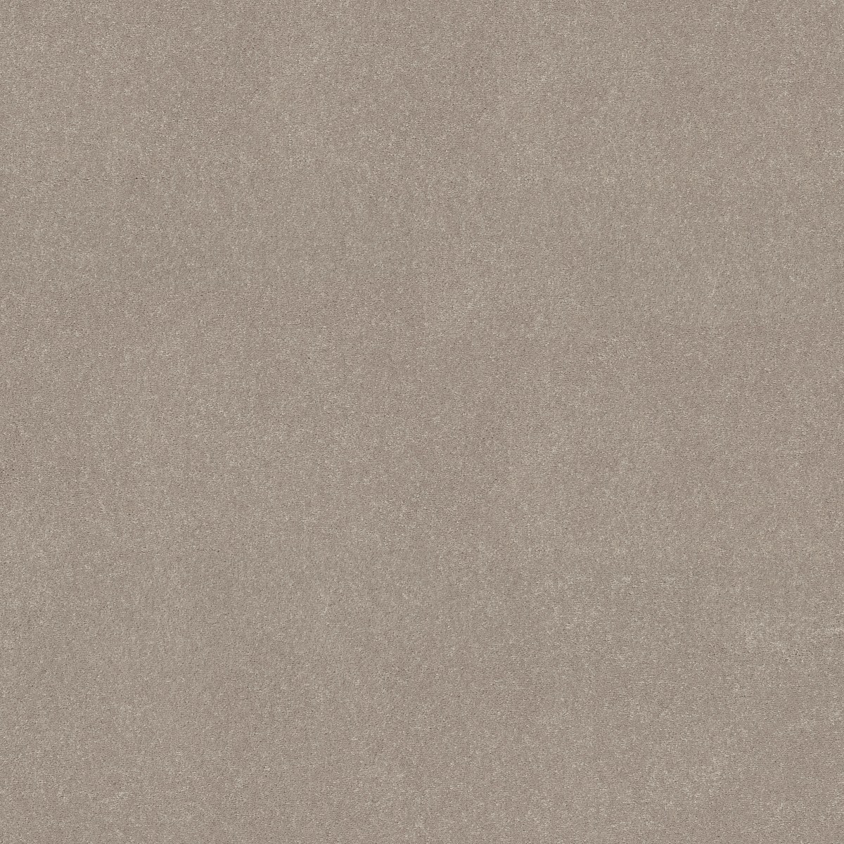 Shaw Floors EASY SPIRIT III 12' — BISCOTTI