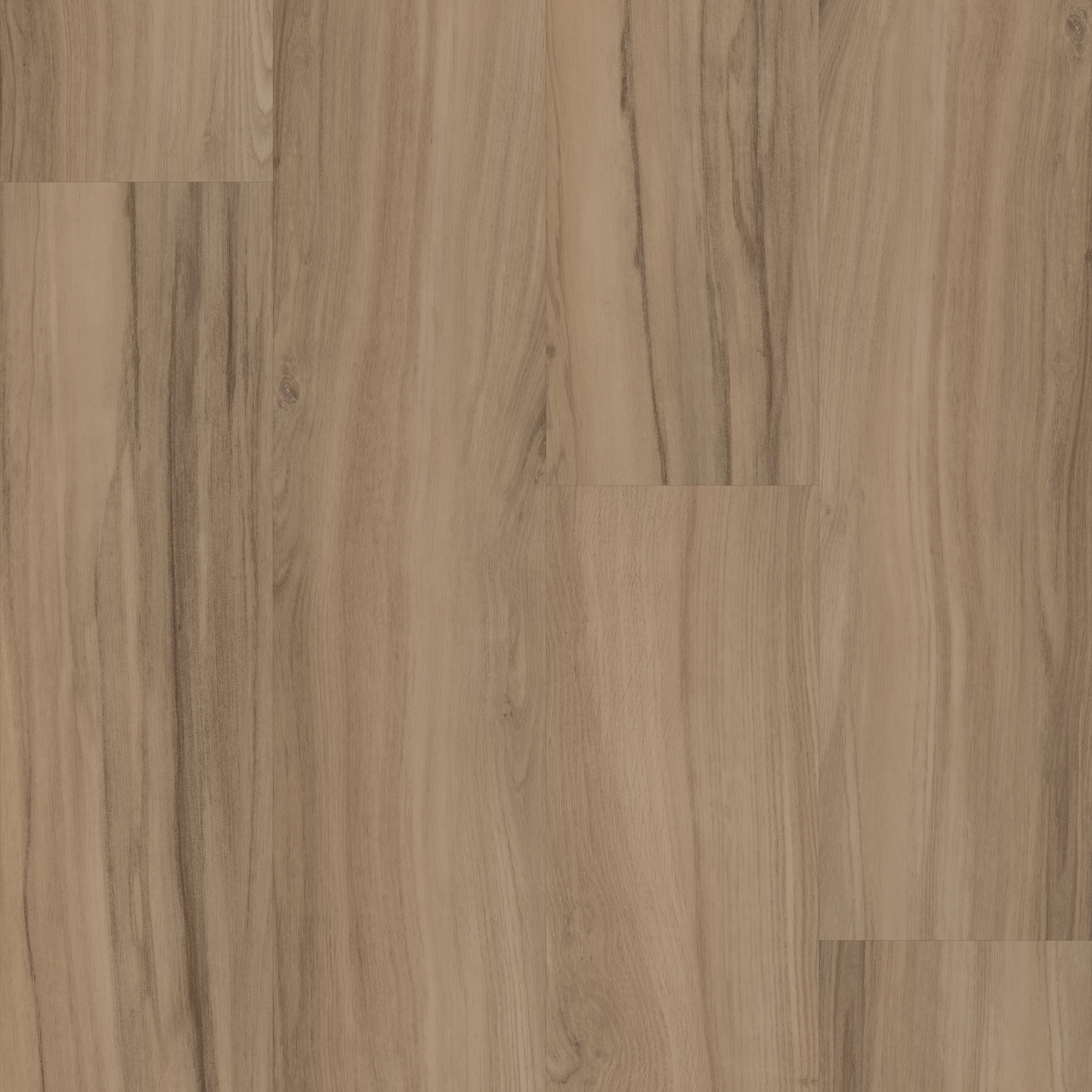 REWILD 5667V AEGIS 00706 main image