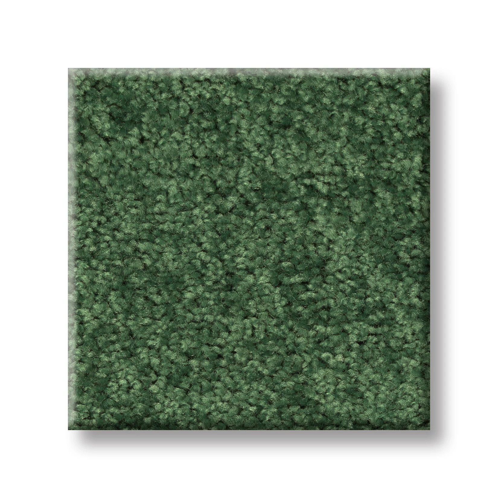 ALL STAR WEEKEND I 12' GOING GREEN SWATCH