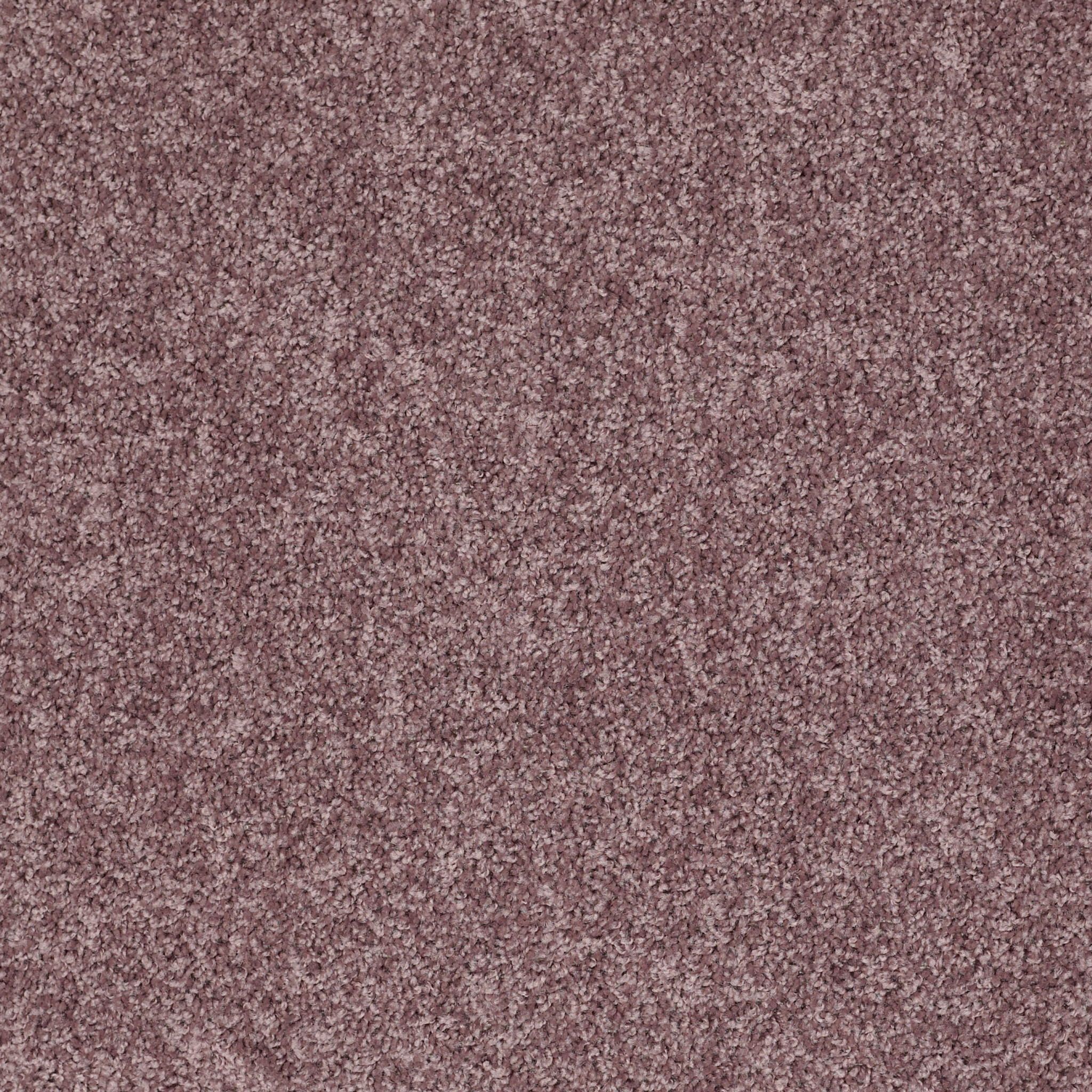 FIELDER'S CHOICE 12' MOLASSES MAIN