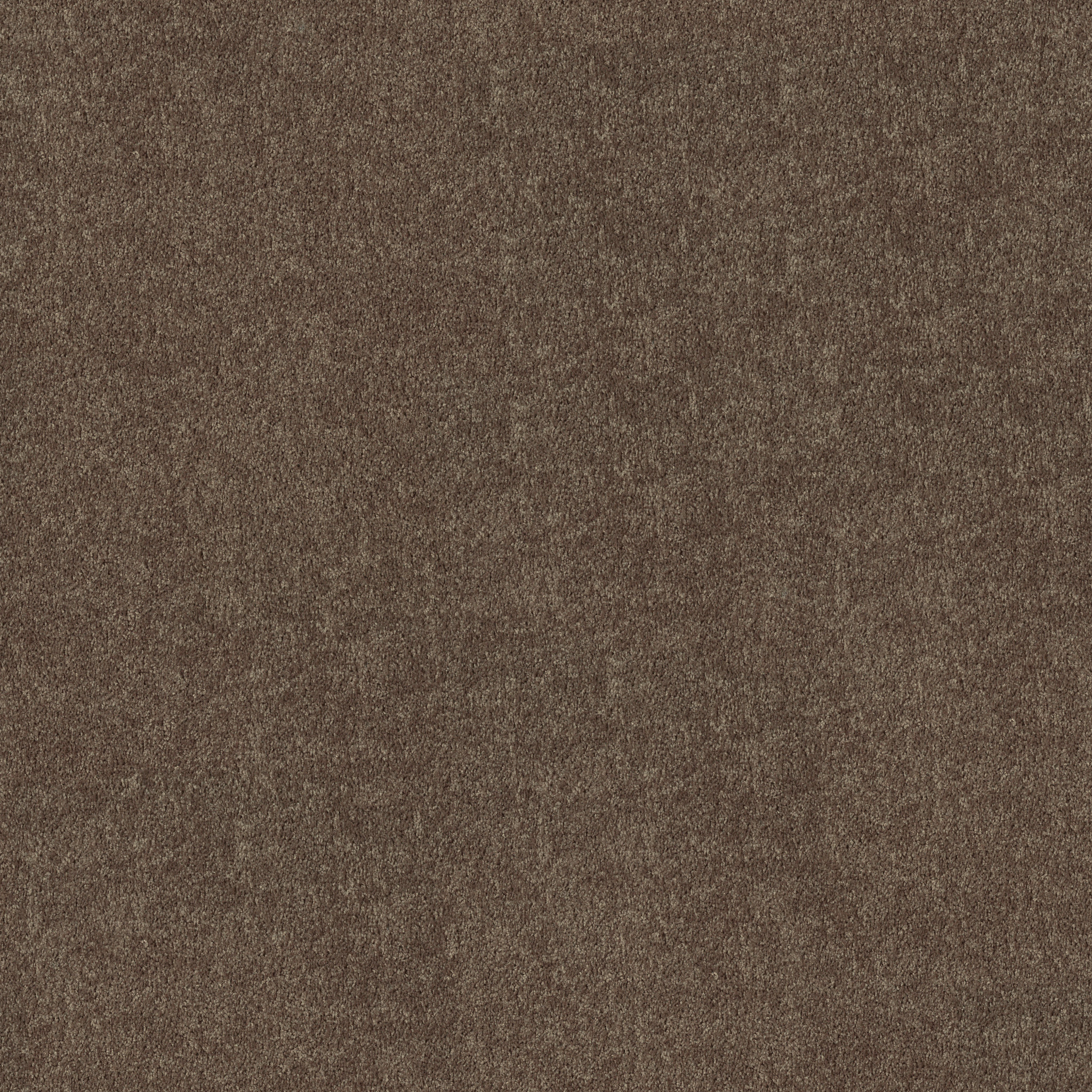 FIELDER'S CHOICE 15' MOLASSES MAIN