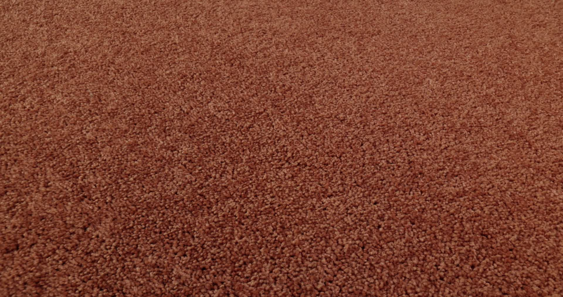 NEWBERN CLASSIC 12' SUNBURST 360PROD