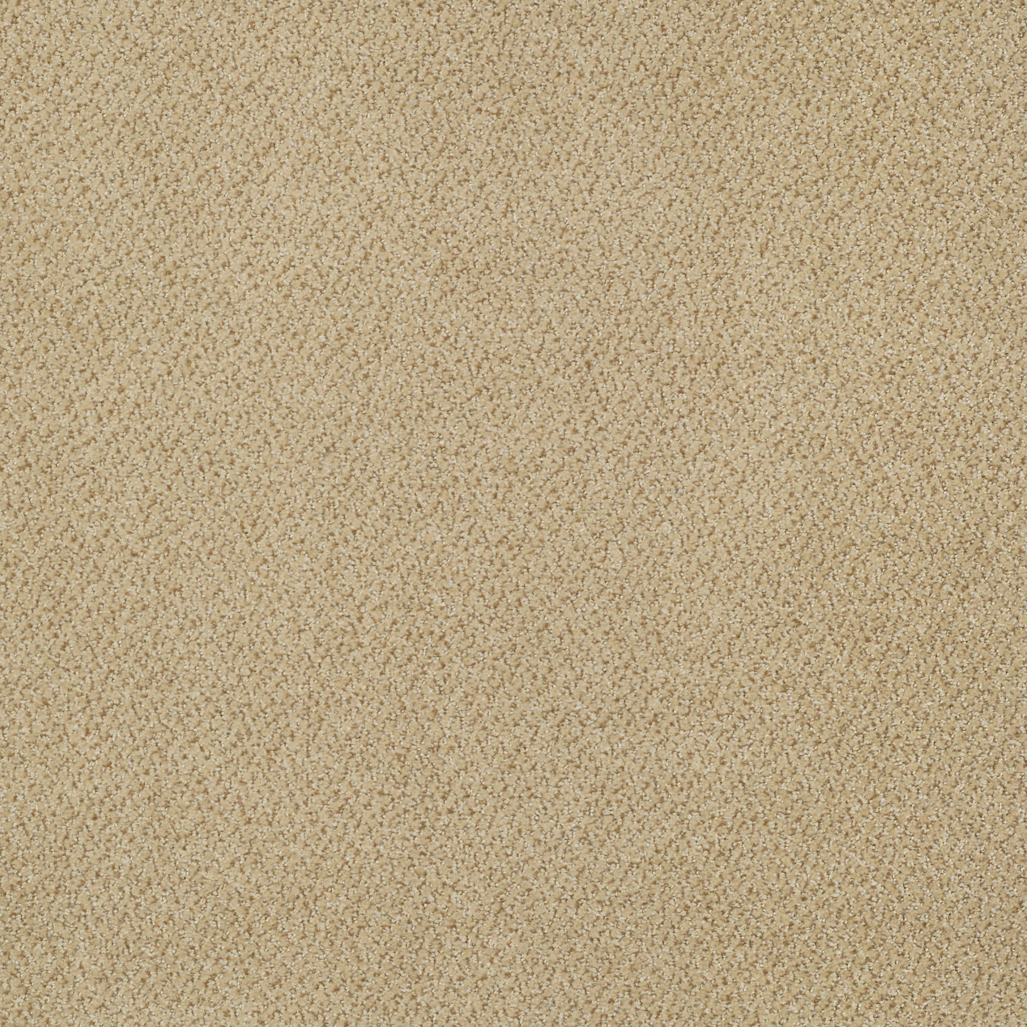 PRESTIGE-J0174-JURISDICTION-74225-main-image