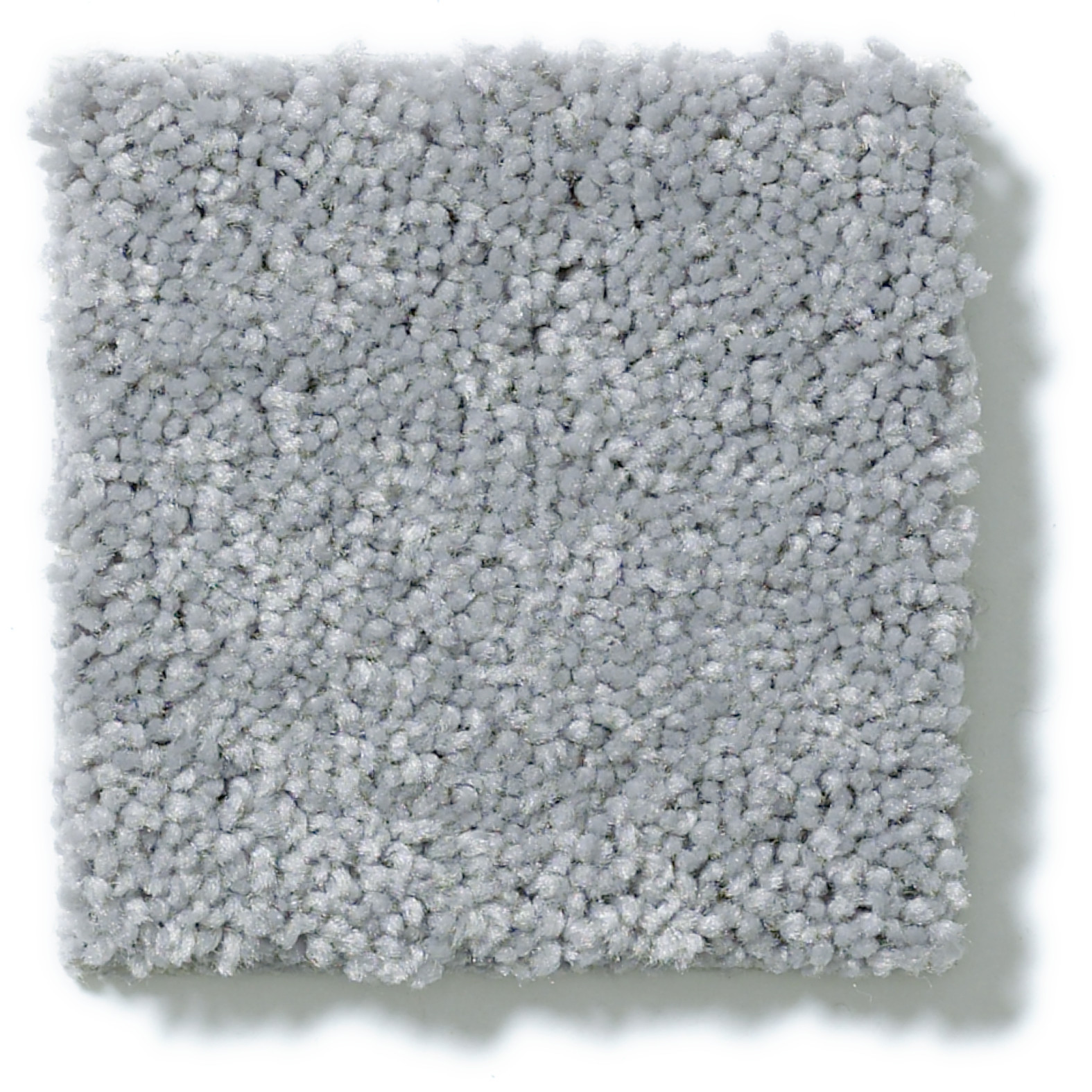 STEP RIGHT UP I 12' NICKEL SWATCH