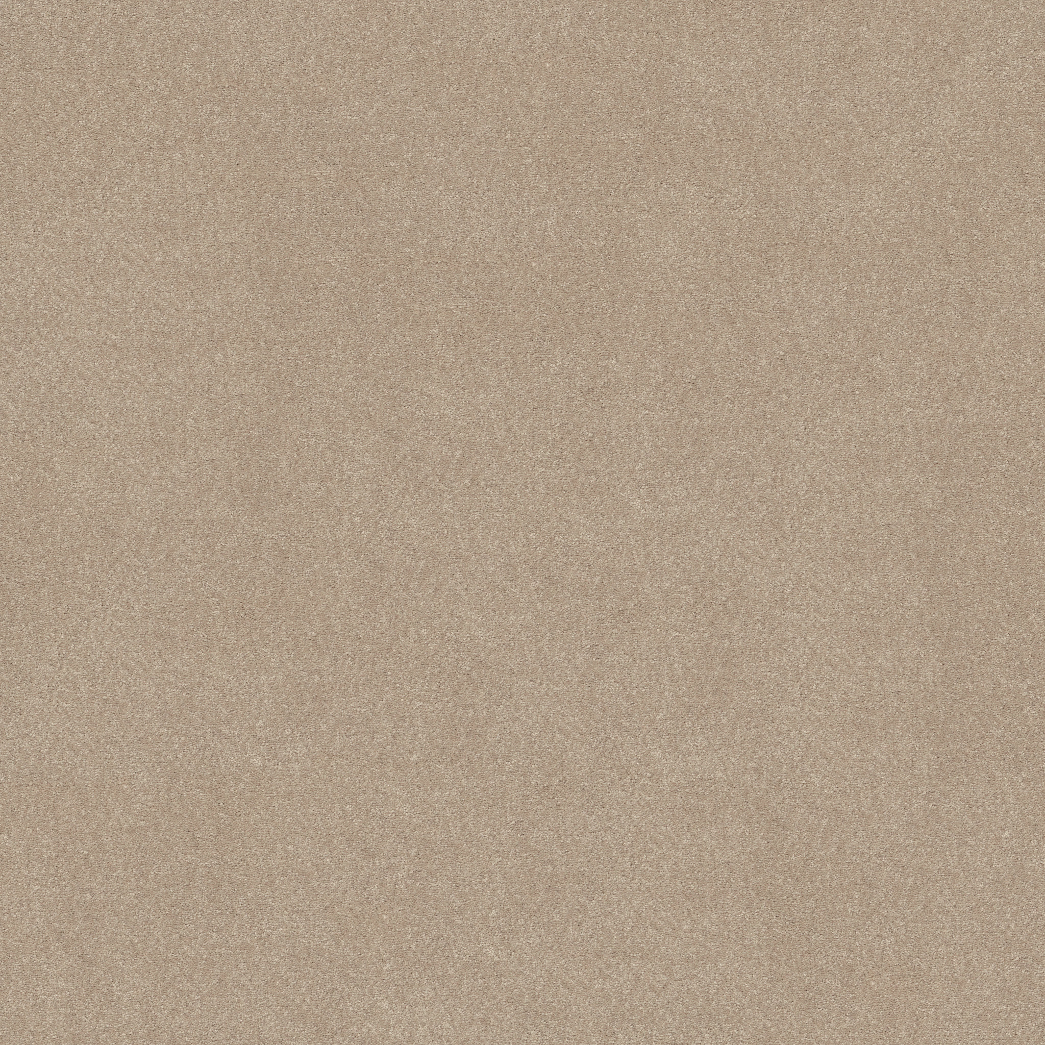 EASY SPIRIT I 12' SHAKER BEIGE MAIN