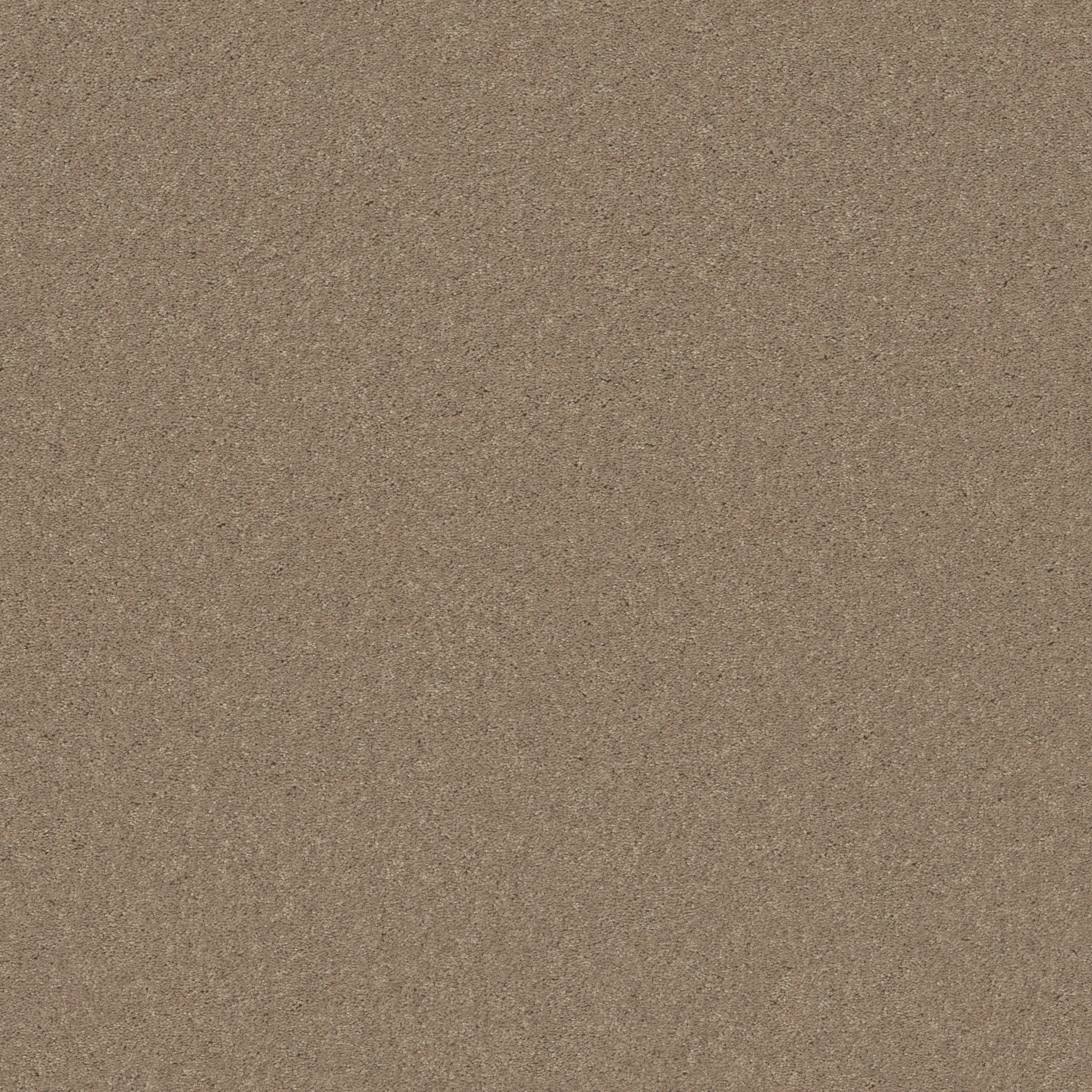 BEAUTIFULLY SIMPLE I 15' HONEYCOMB MAIN