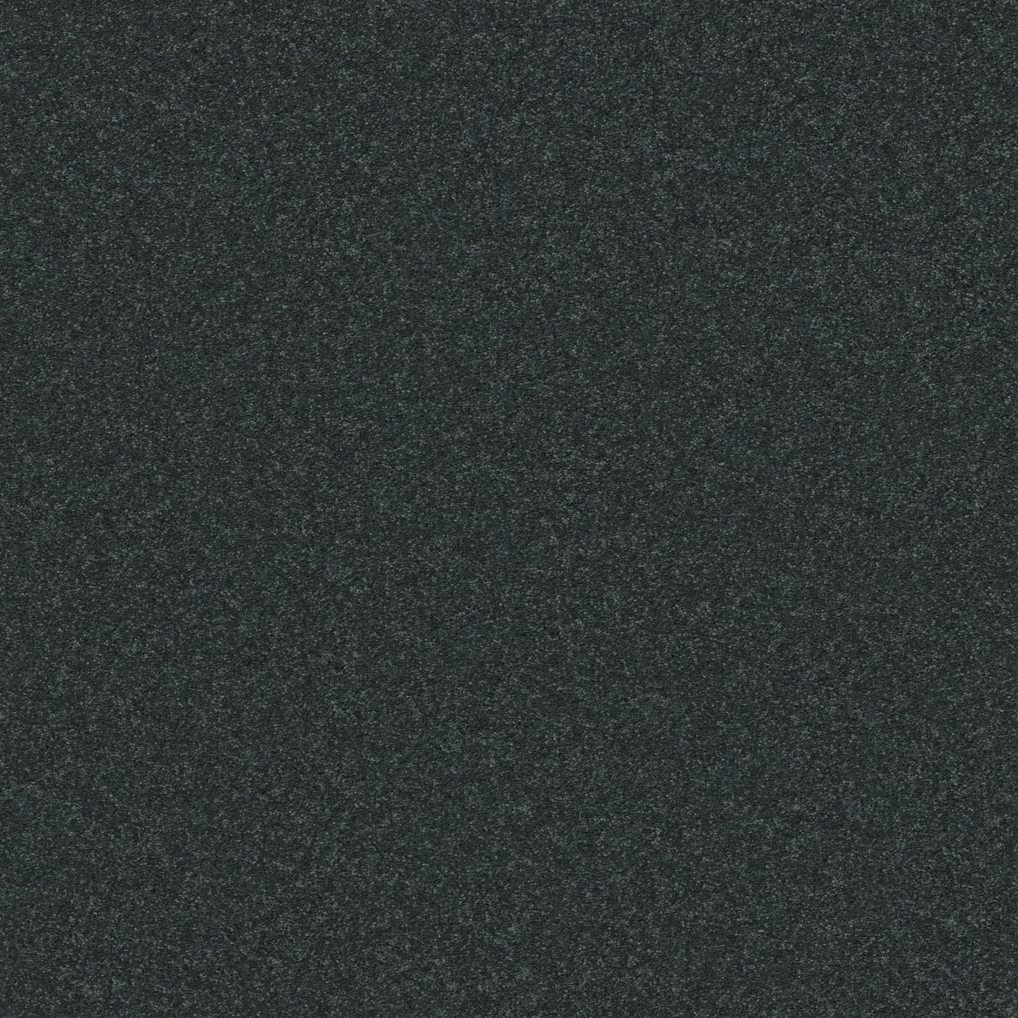 BEAUTIFULLY SIMPLE II 15' DENIM DAYS MAIN