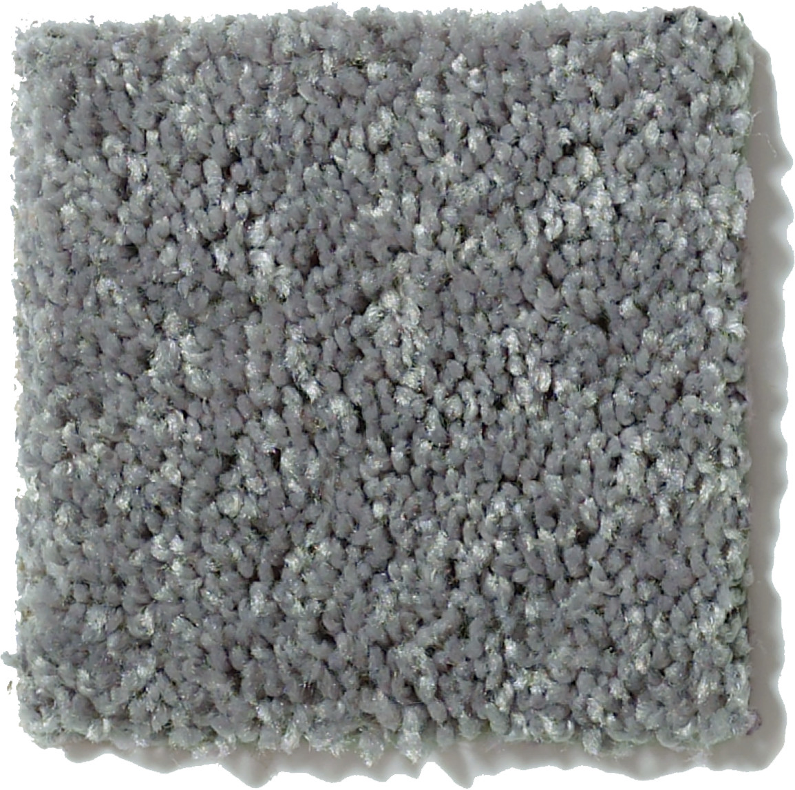 ROYAL PORTRUSH III 15' INK SPOT SWATCH