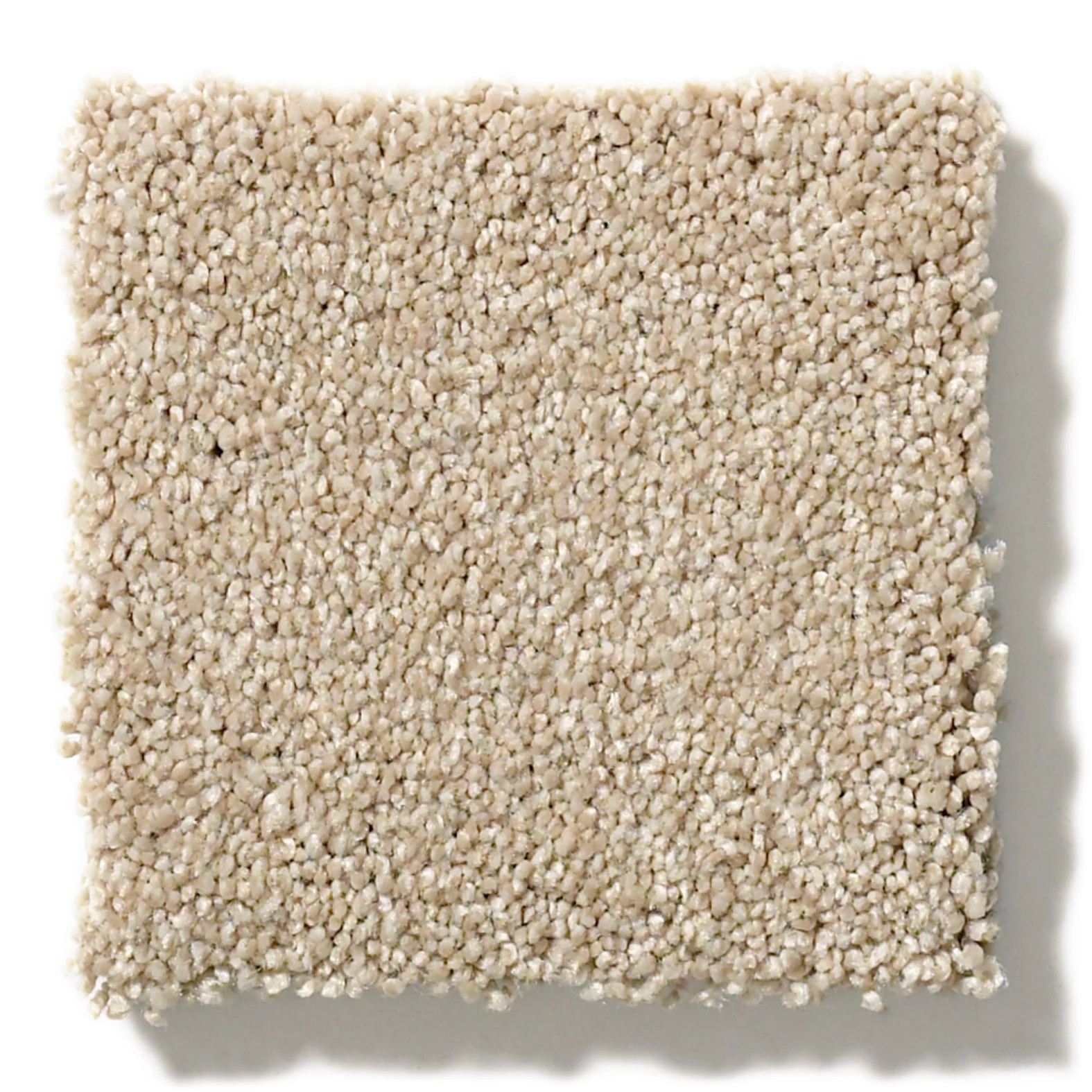 Find your comfort I - Solid DINNER WITH FRI SWATCH