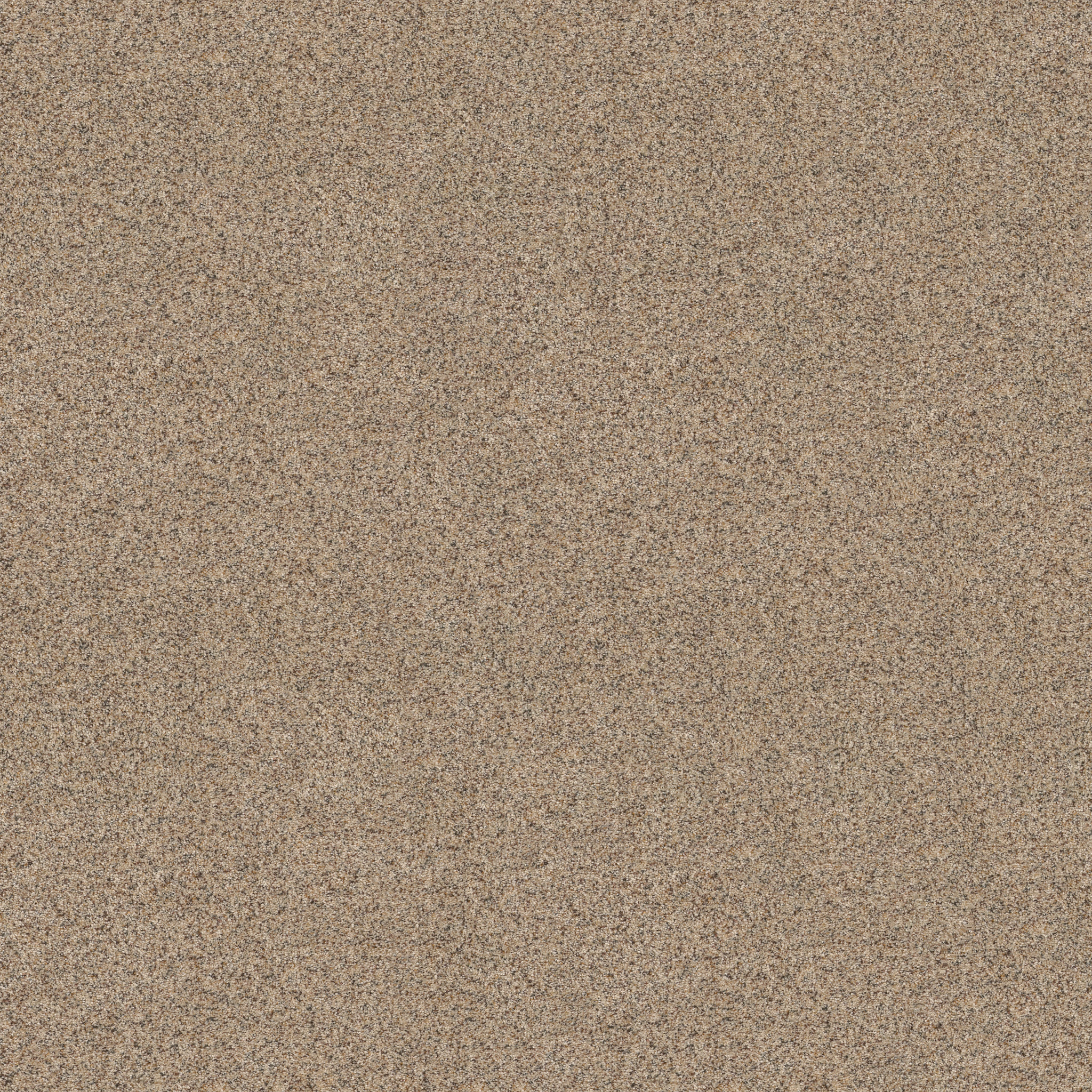 Topanga Canyon DOGWOOD MAIN