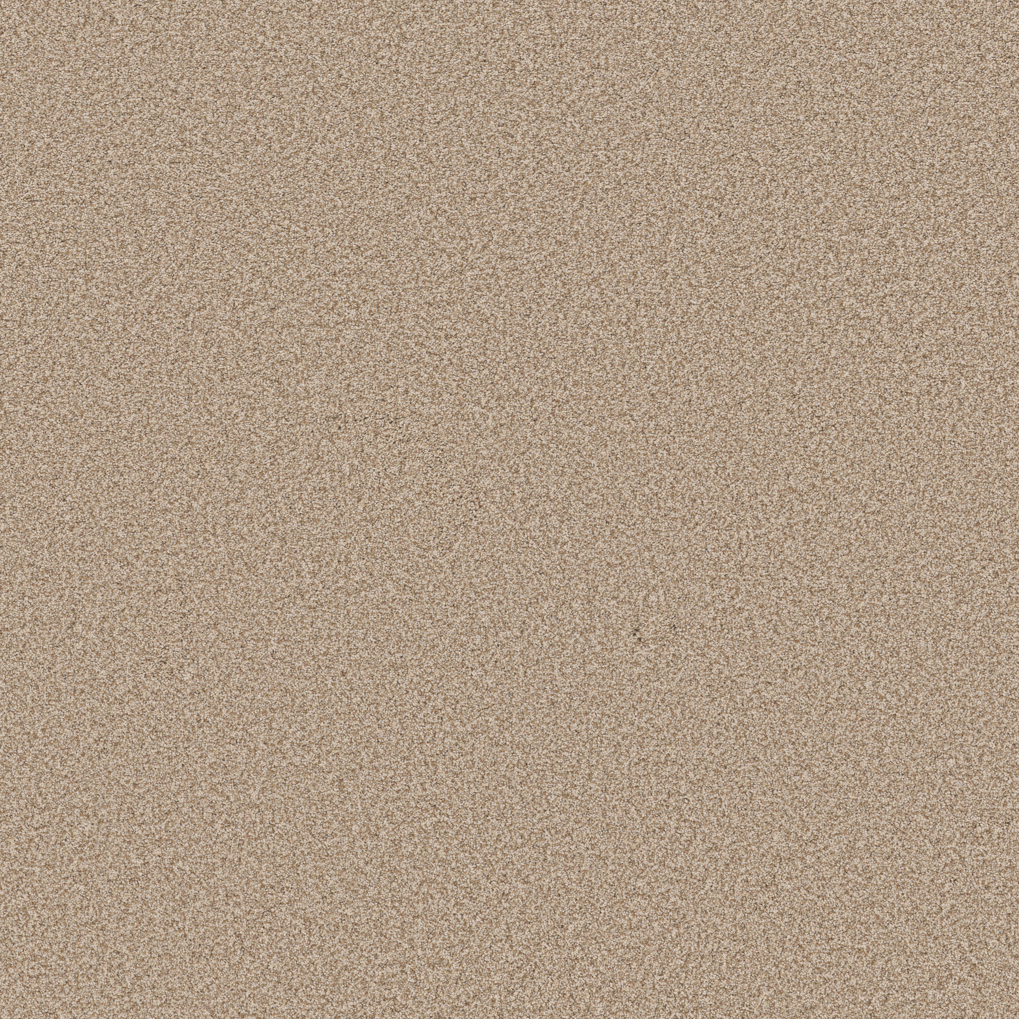 AVALON BAY FILTERED MOON MAIN