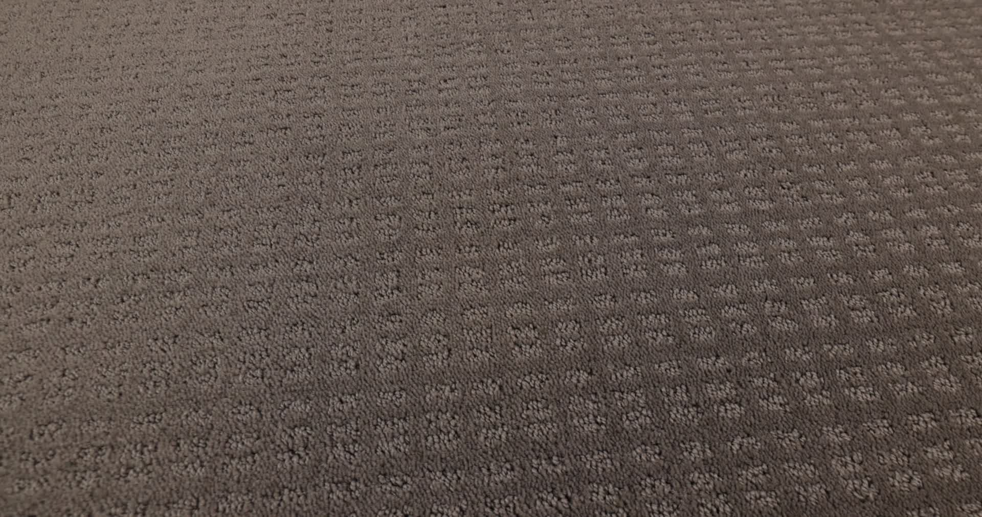 ESSENTIAL NOW RIDGEVIEW 360PROD