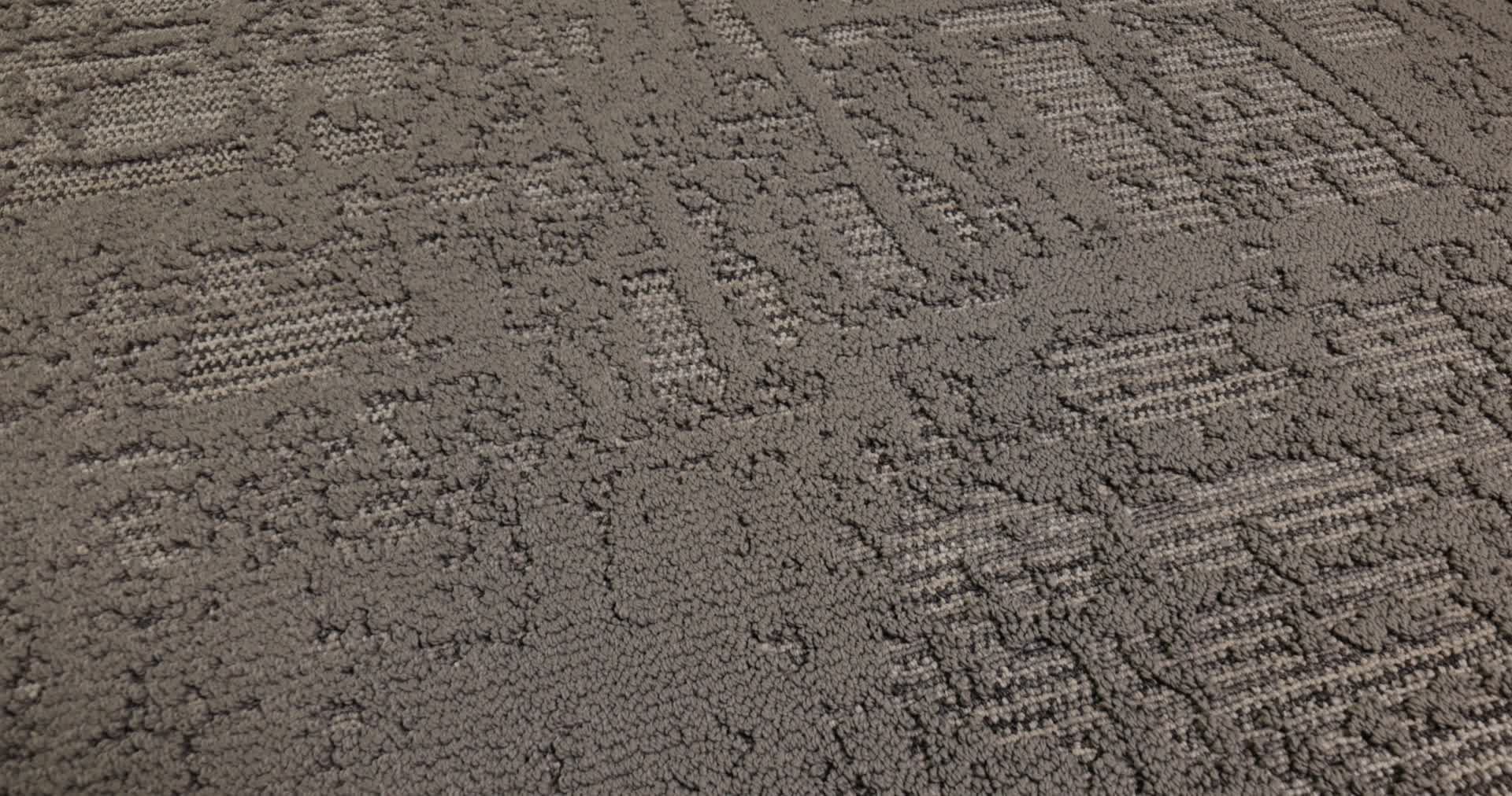 DISCOVER WALNUT 360PROD