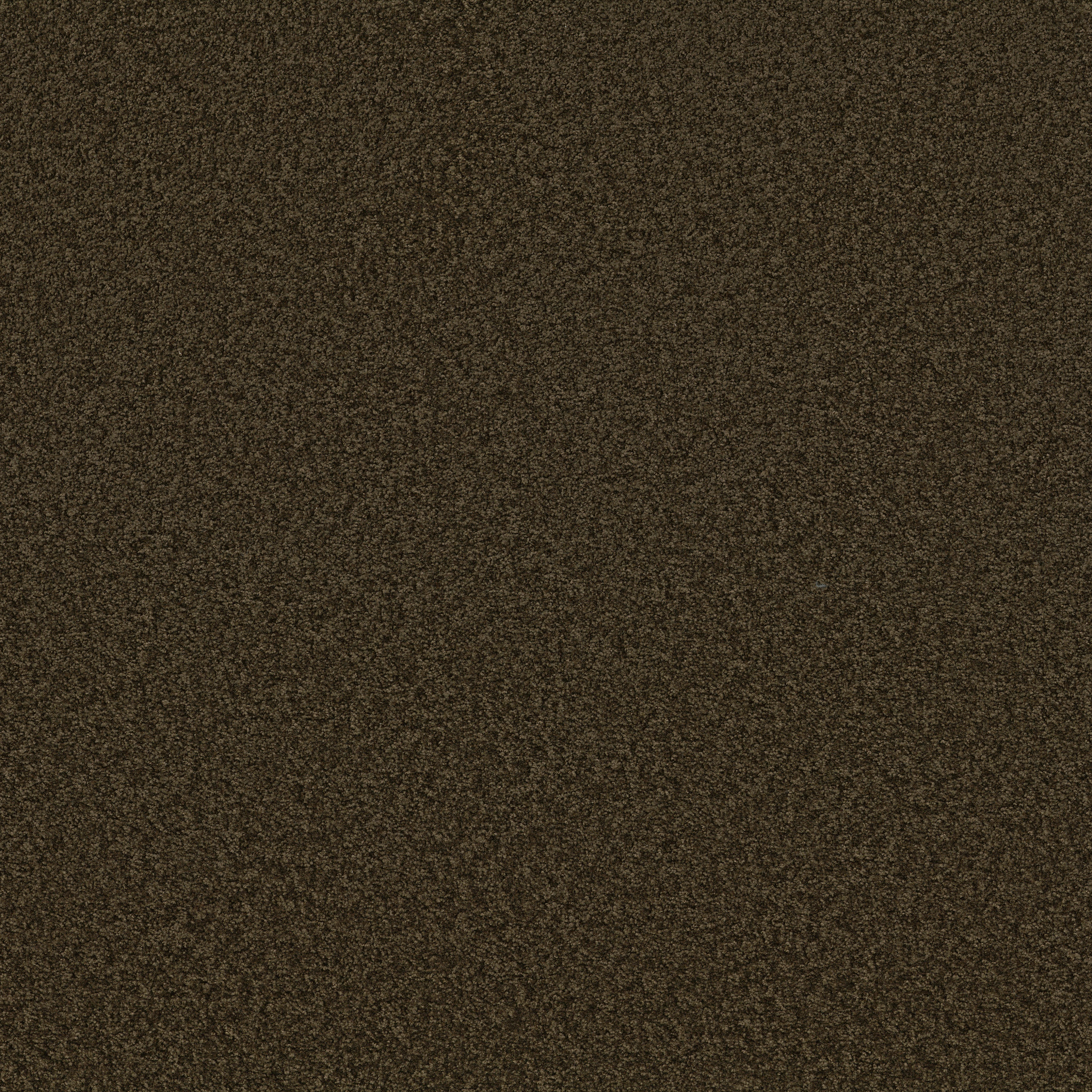 PREMIER ROLE TRUFFLE MAIN