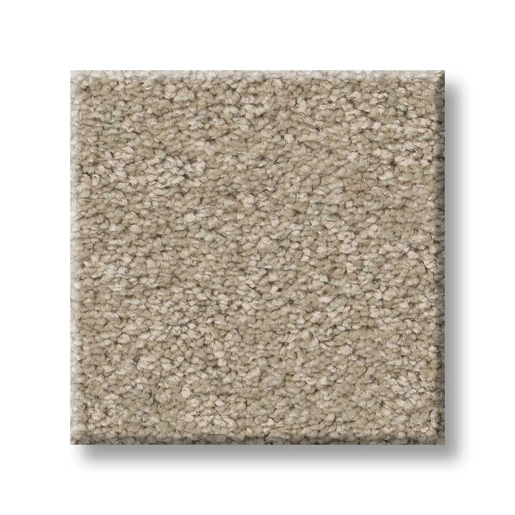 WAY TO GO III DESERT KHAKI SWATCH