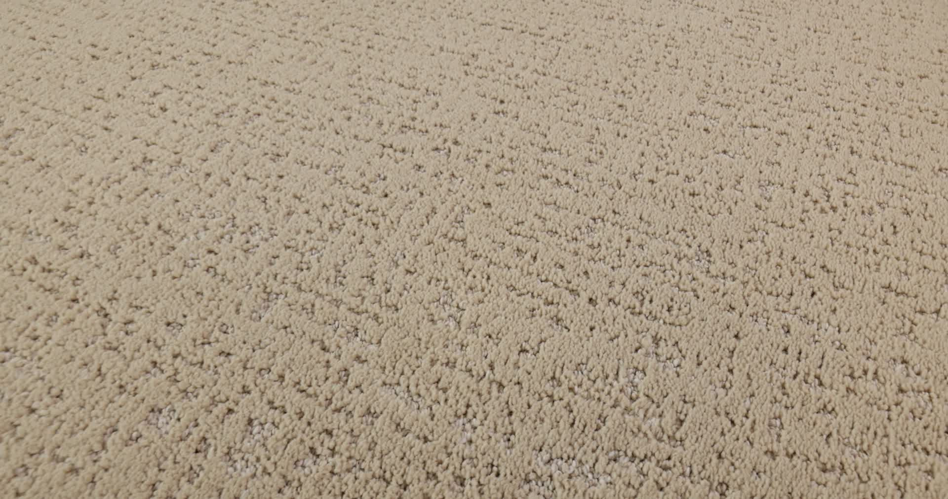 CURATED TONE SUMMERTIME 360PROD