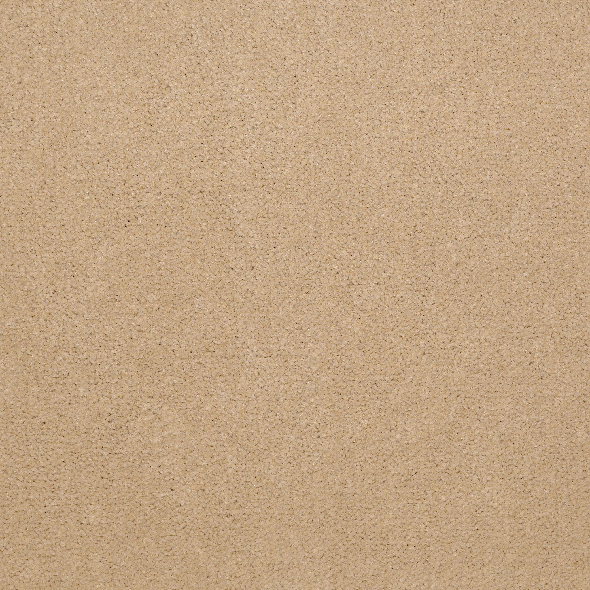 EMPHATIC-II-30-54255-CANDLEWICK-56155-main-image