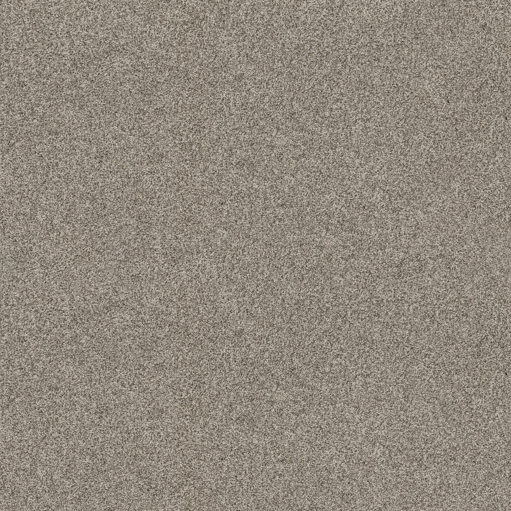 VIA NOVA URBAN NATURE MAIN