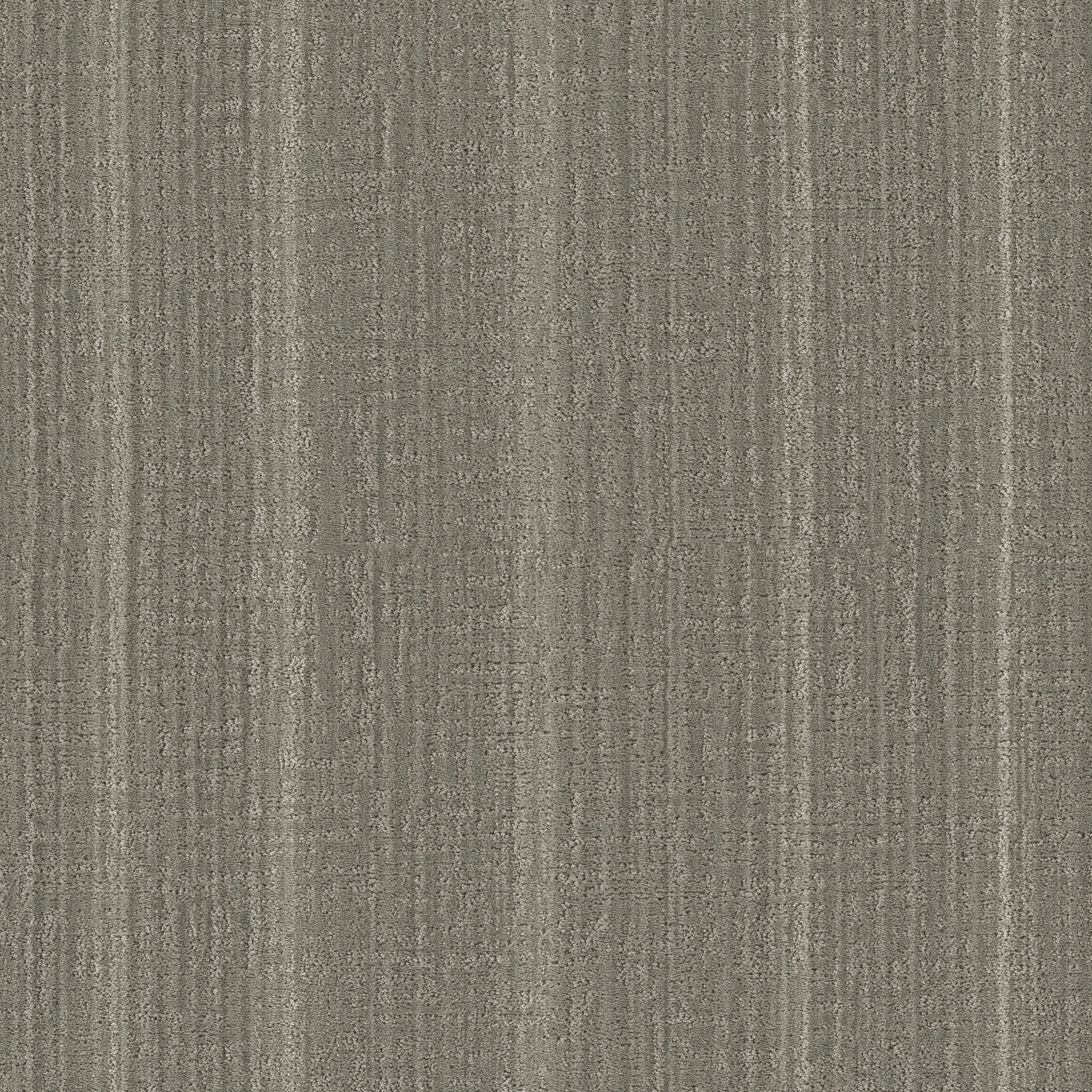 SHADY STROLL STONEHAVEN MAIN